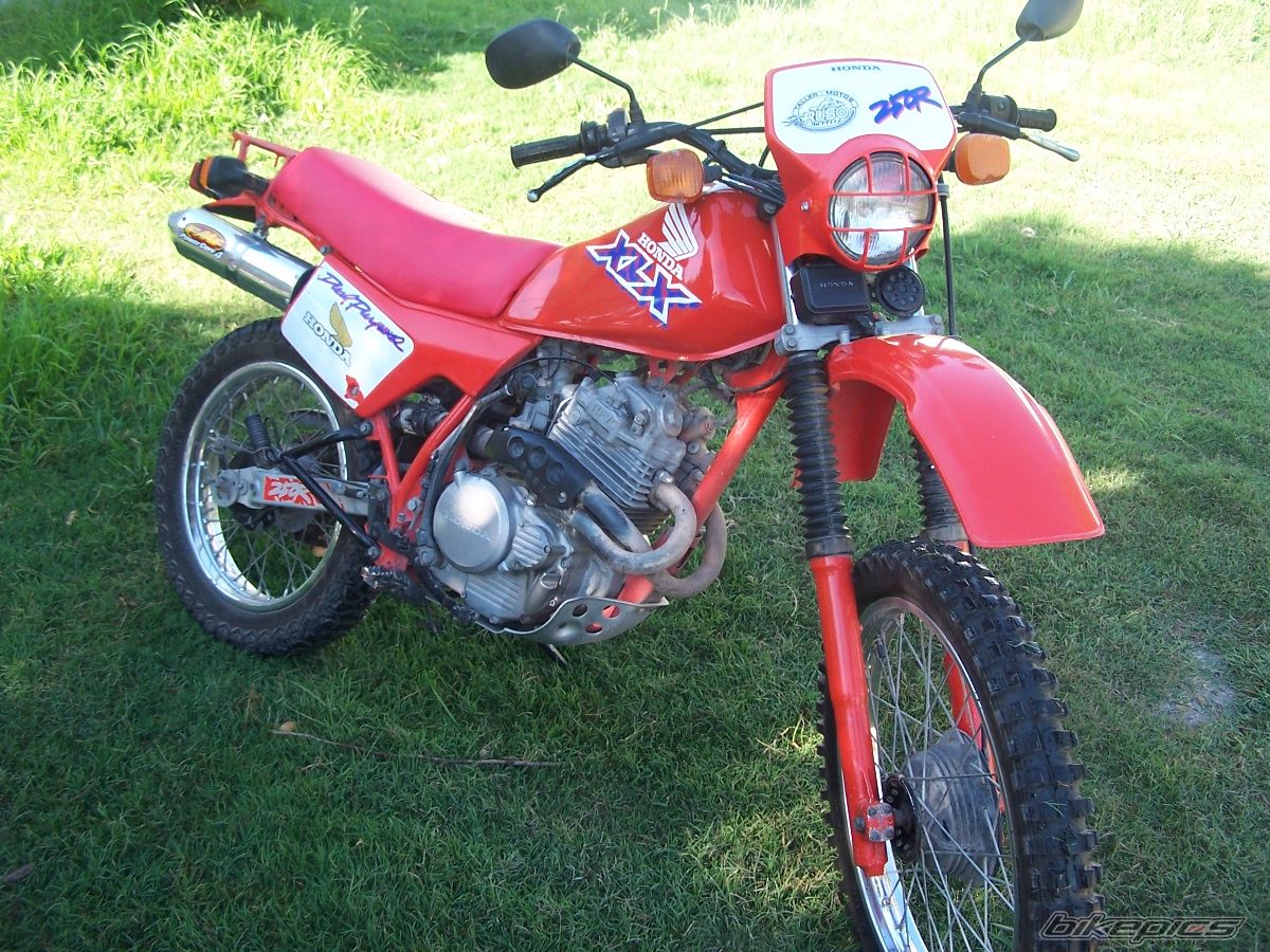 Photo 1616159