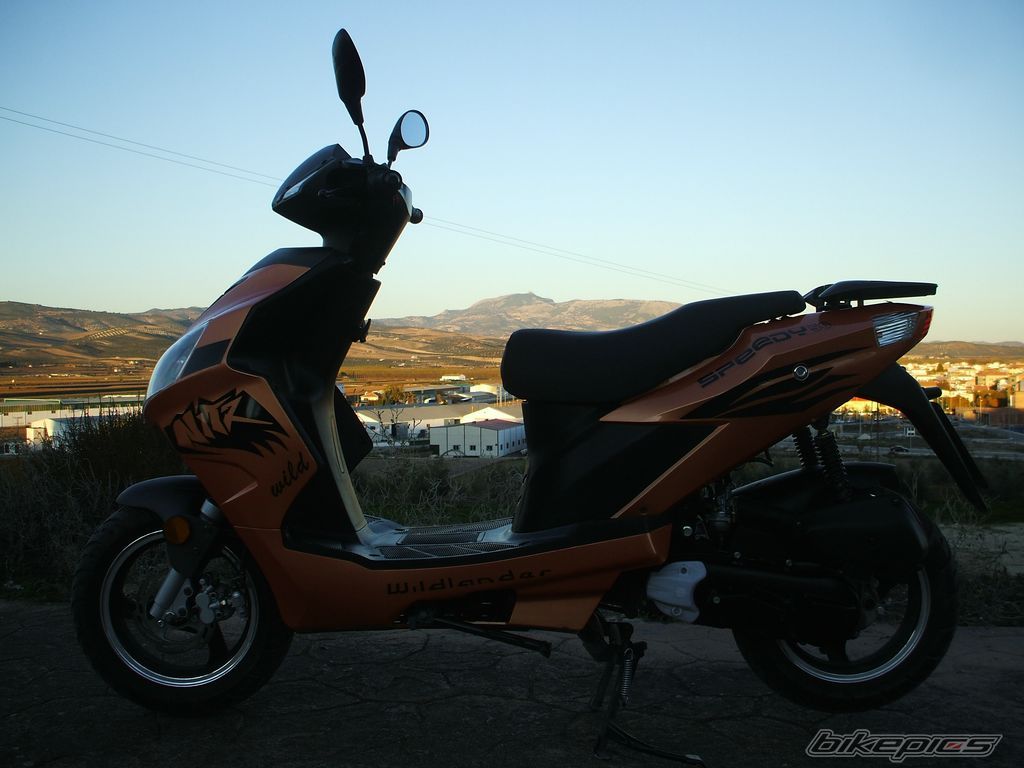 Photo 1616198