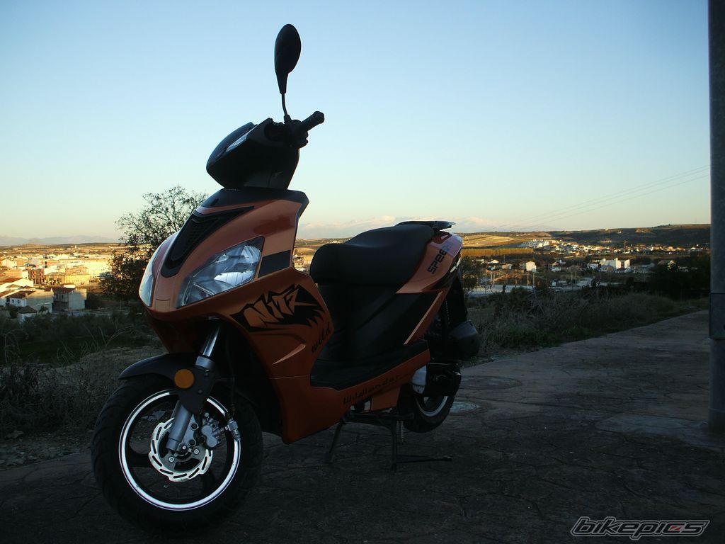 Photo 1616201