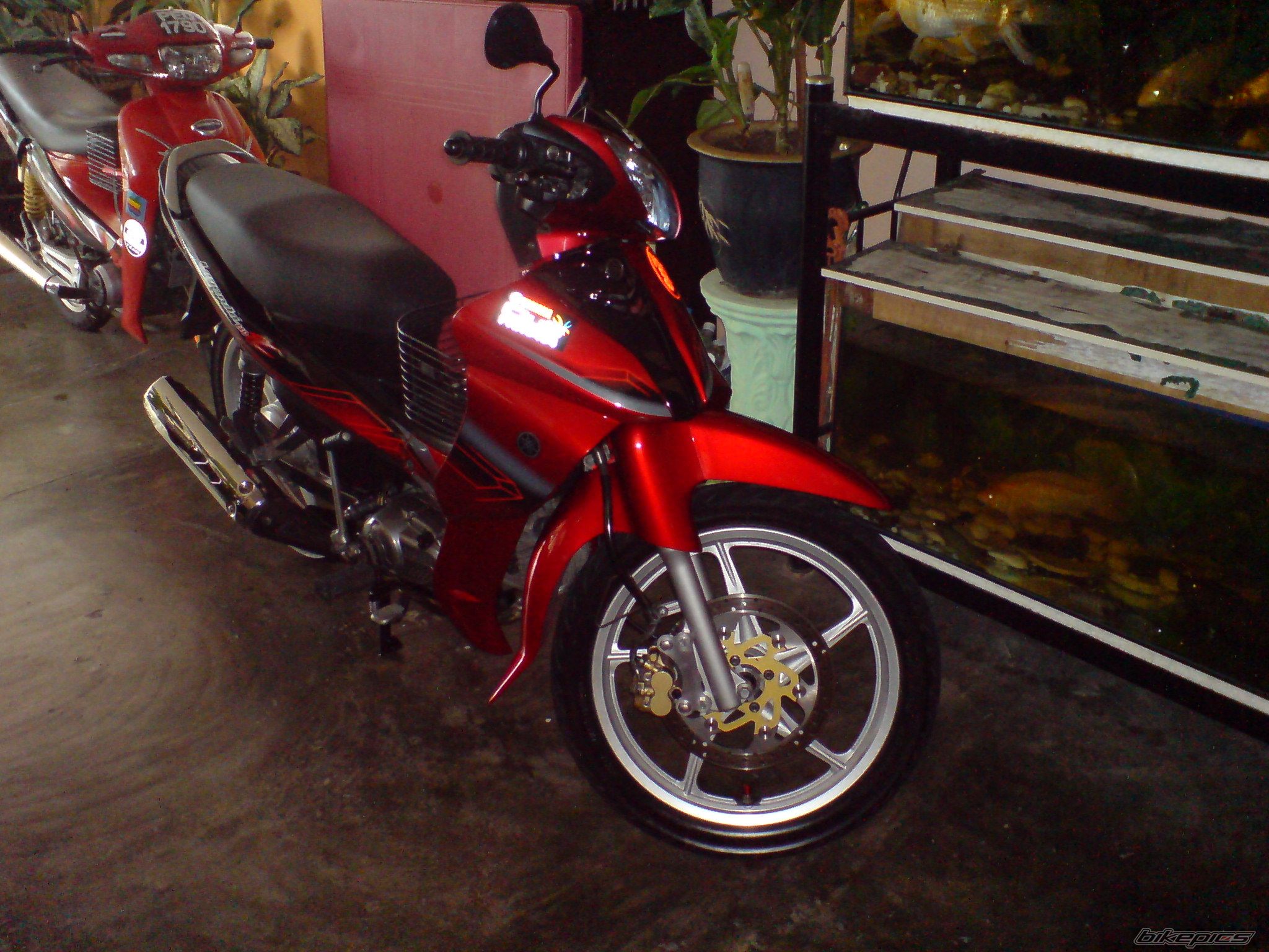 Photo 1616245