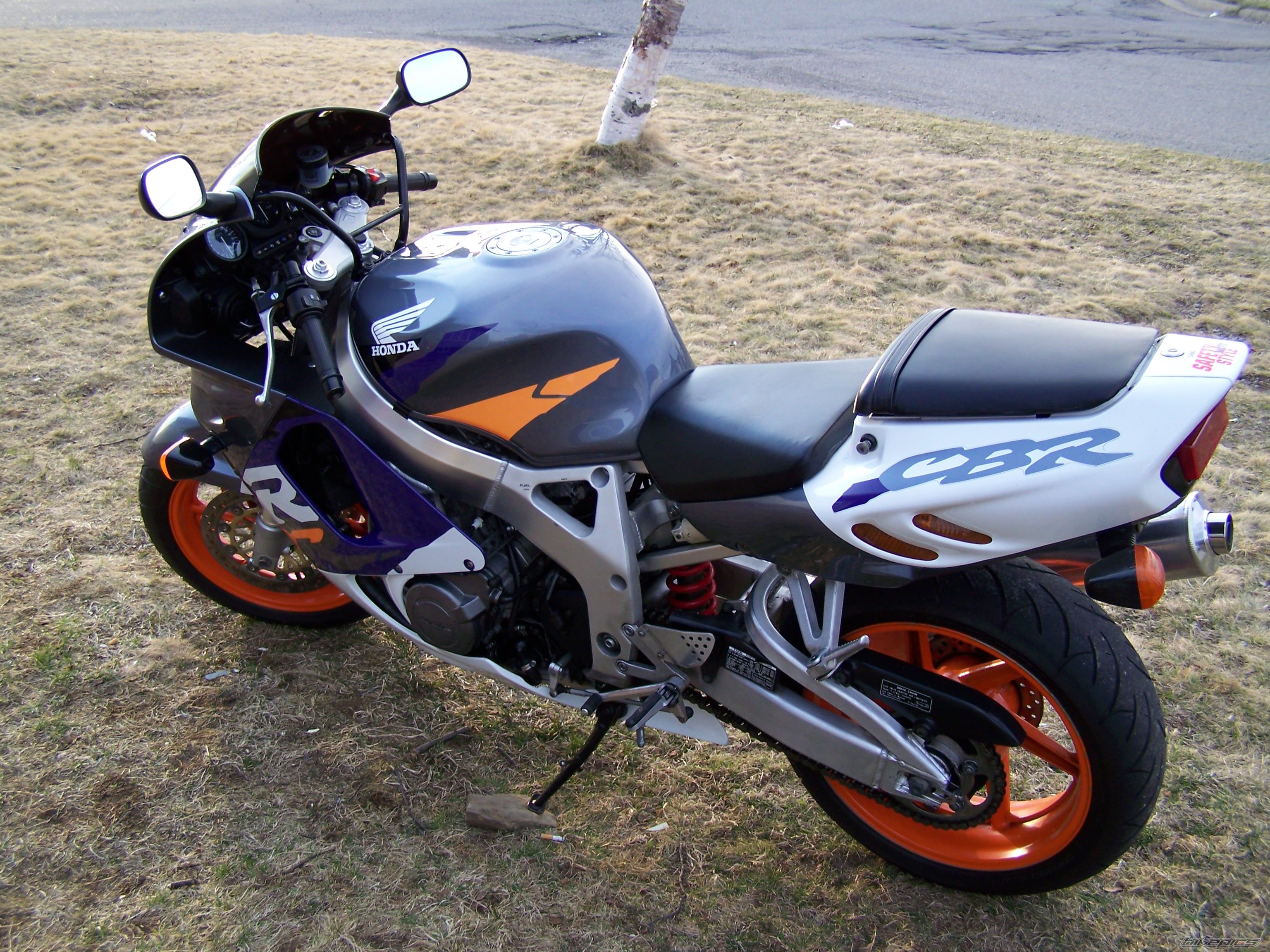 Photo 1616255
