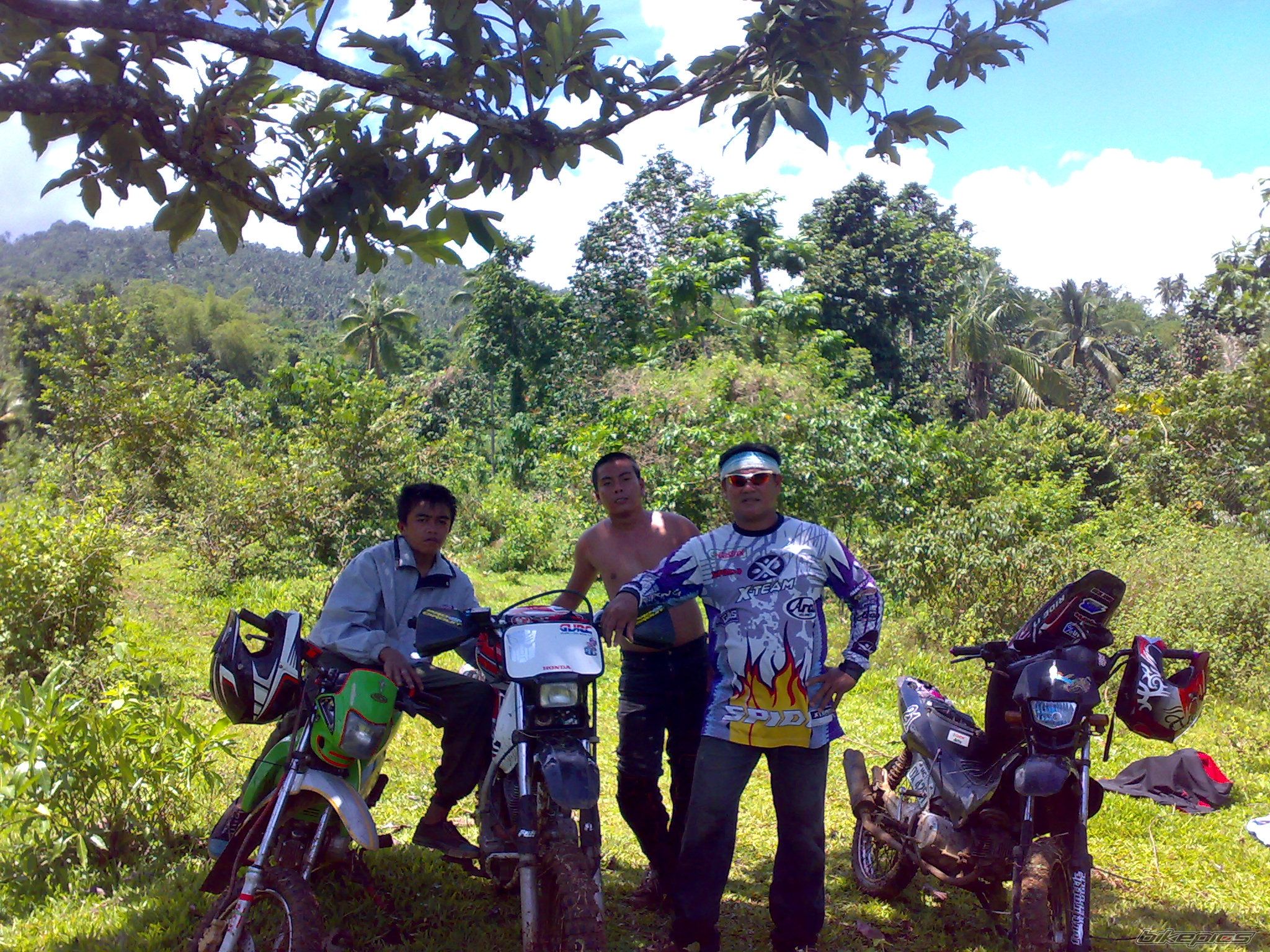 Photo 1616258