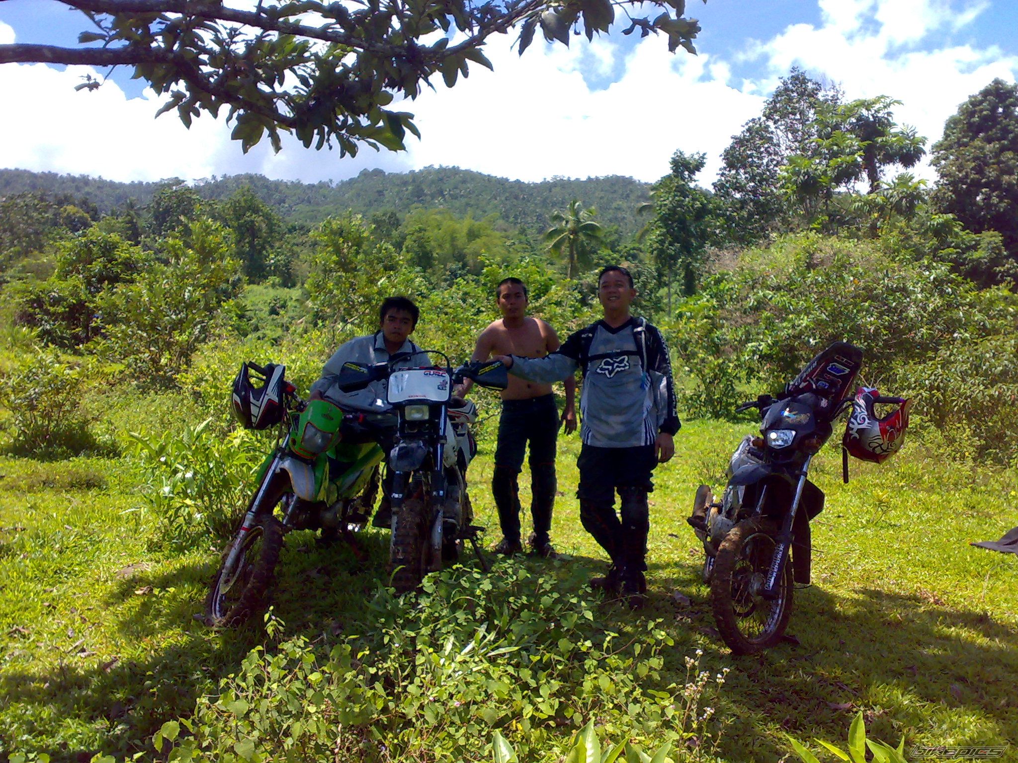Photo 1616263