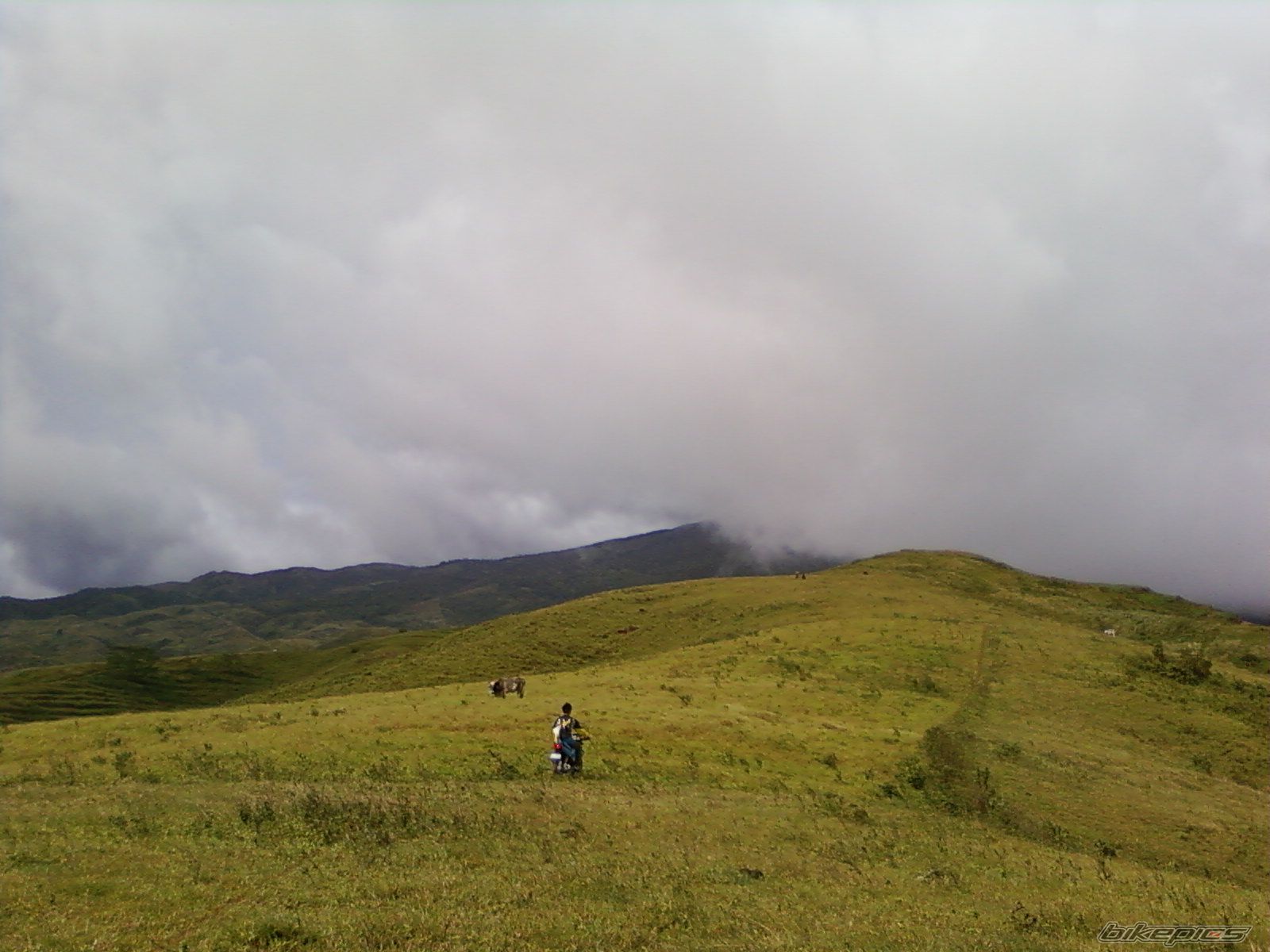 Photo 1616274