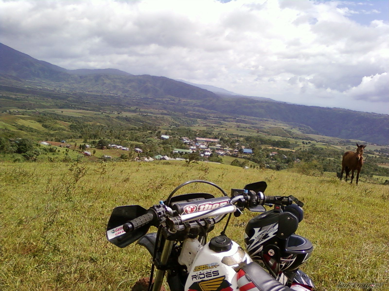 Photo 1616277