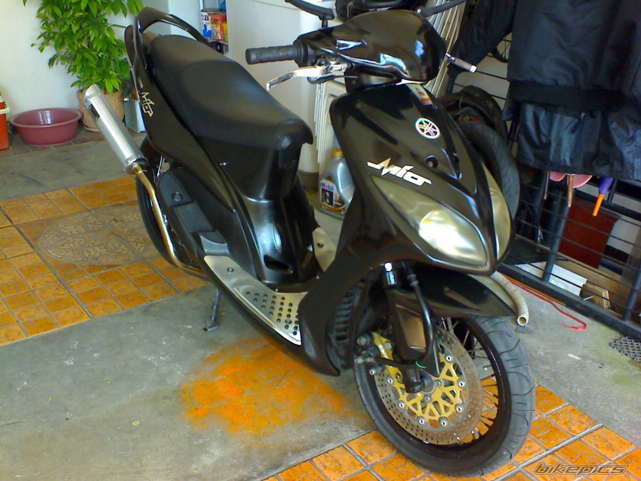 Photo 1616282