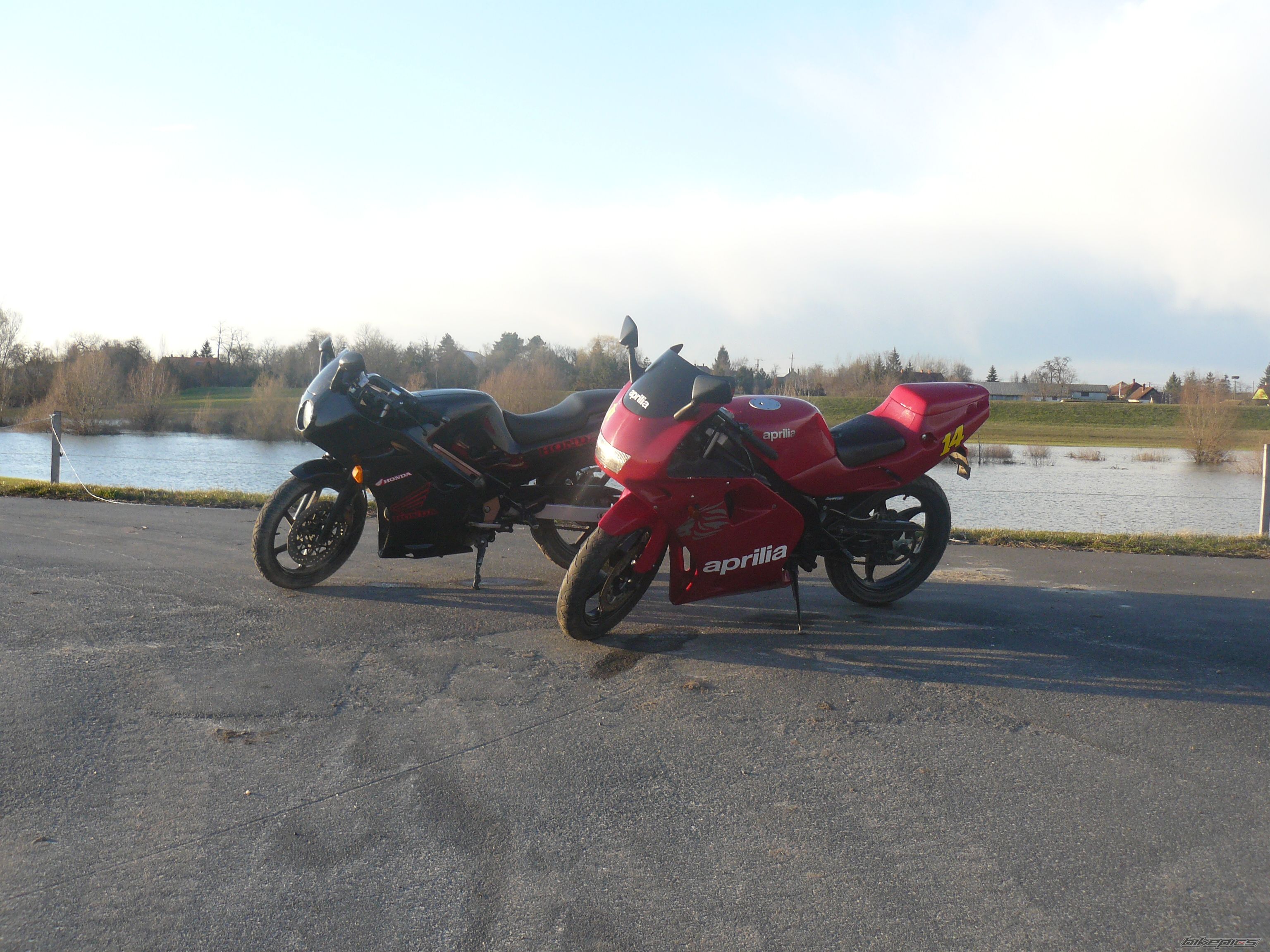 Photo 1616307