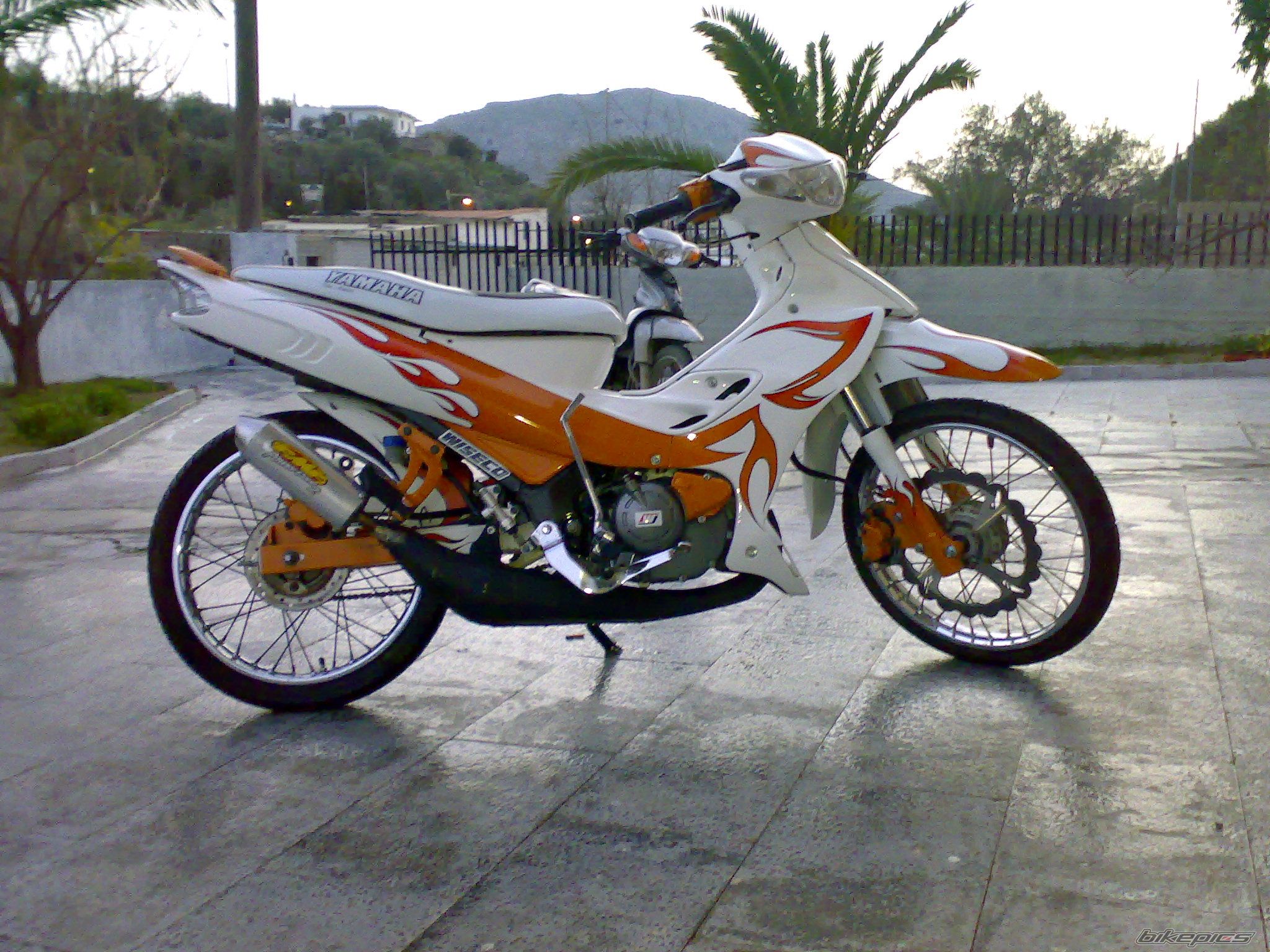 Photo 1616323