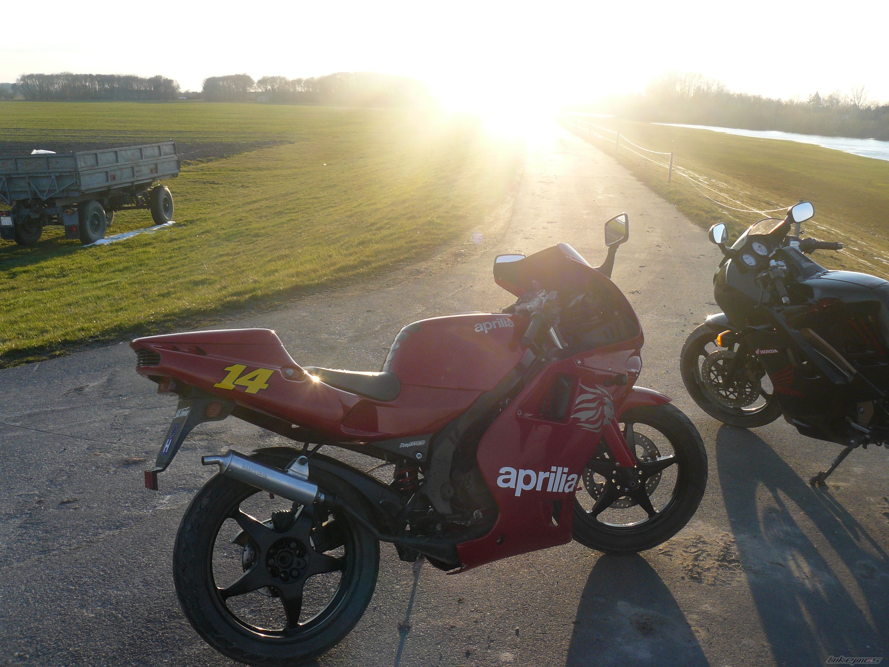 Photo 1616335