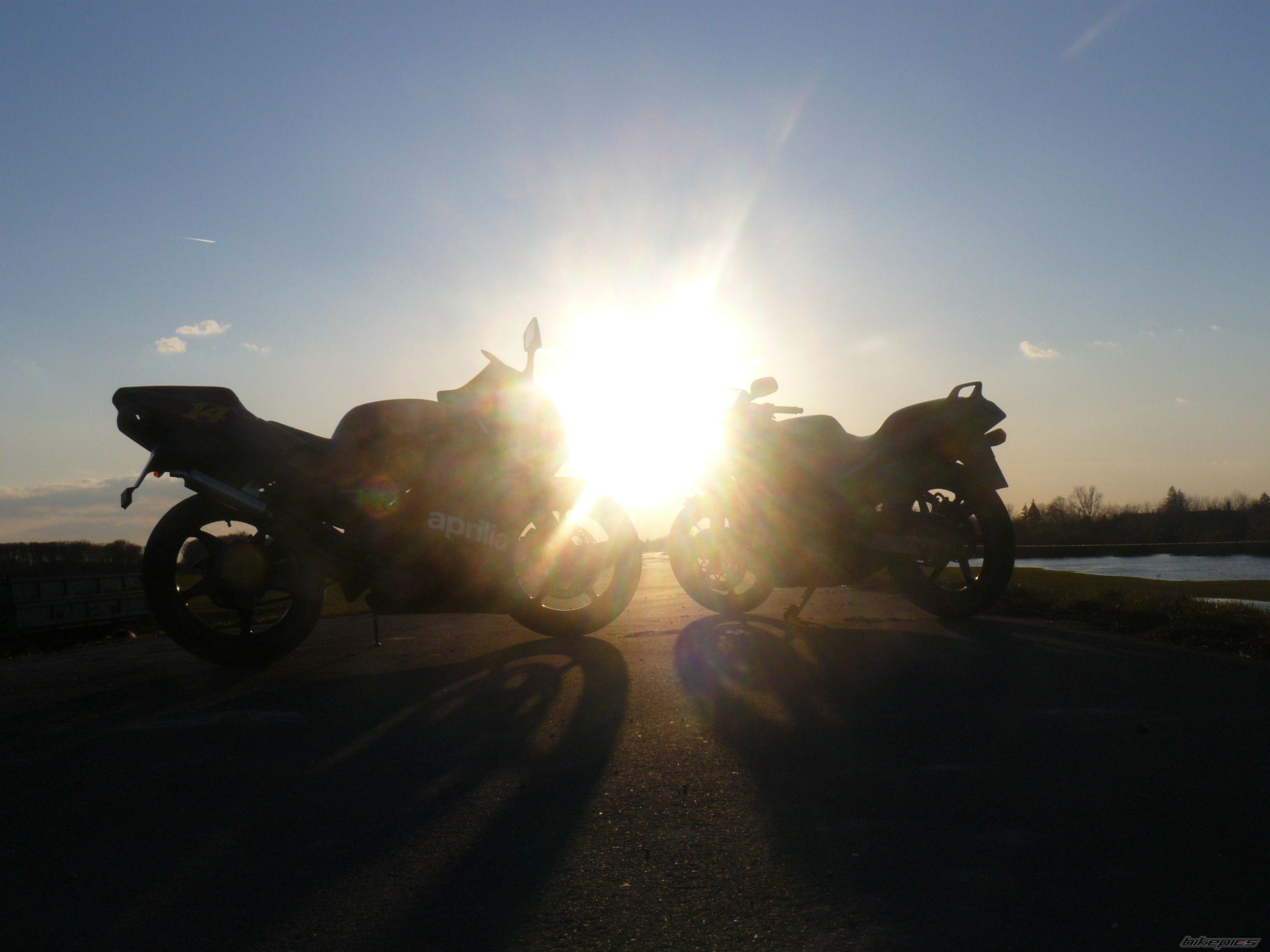 Photo 1616336