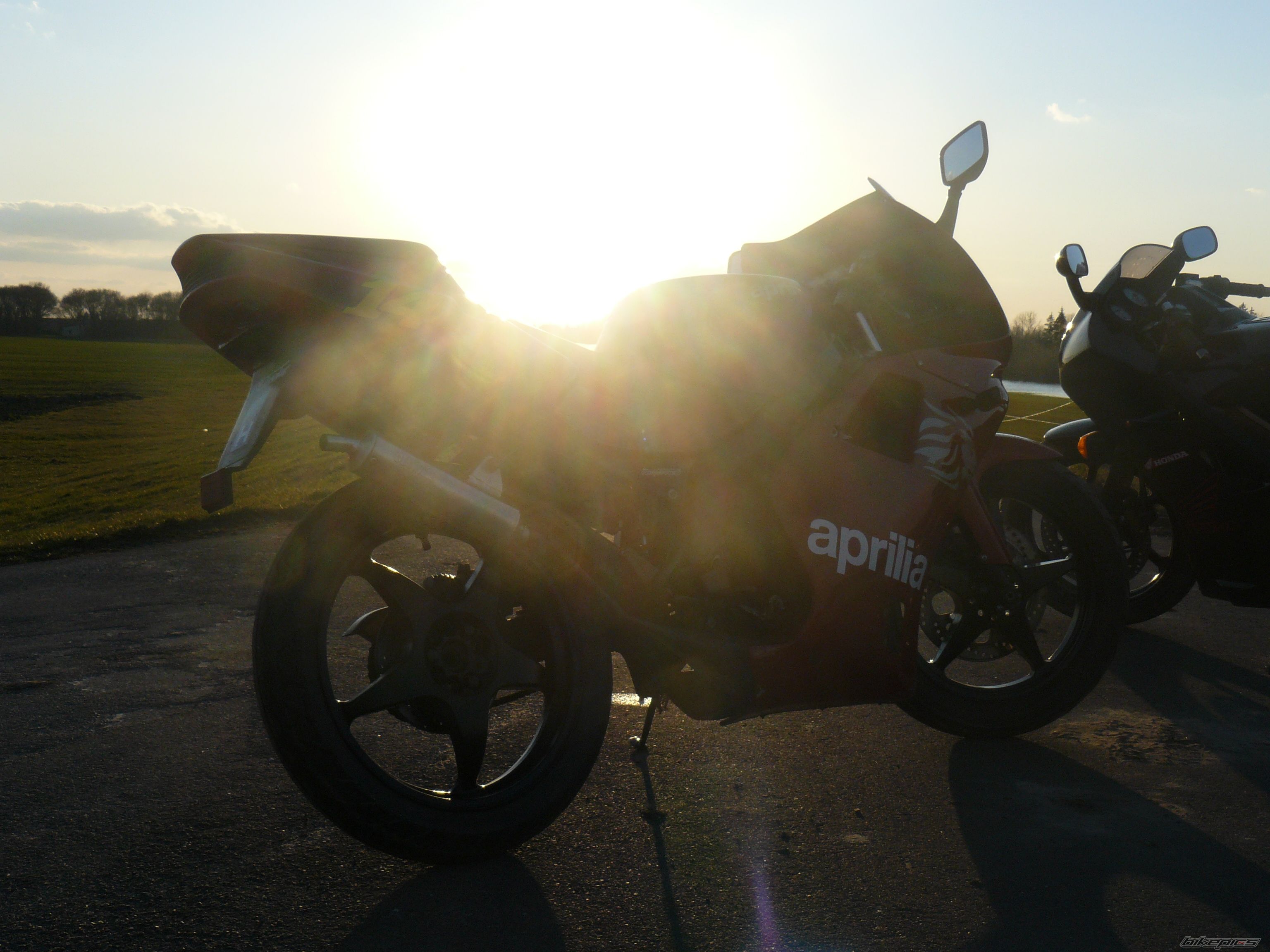 Photo 1616345