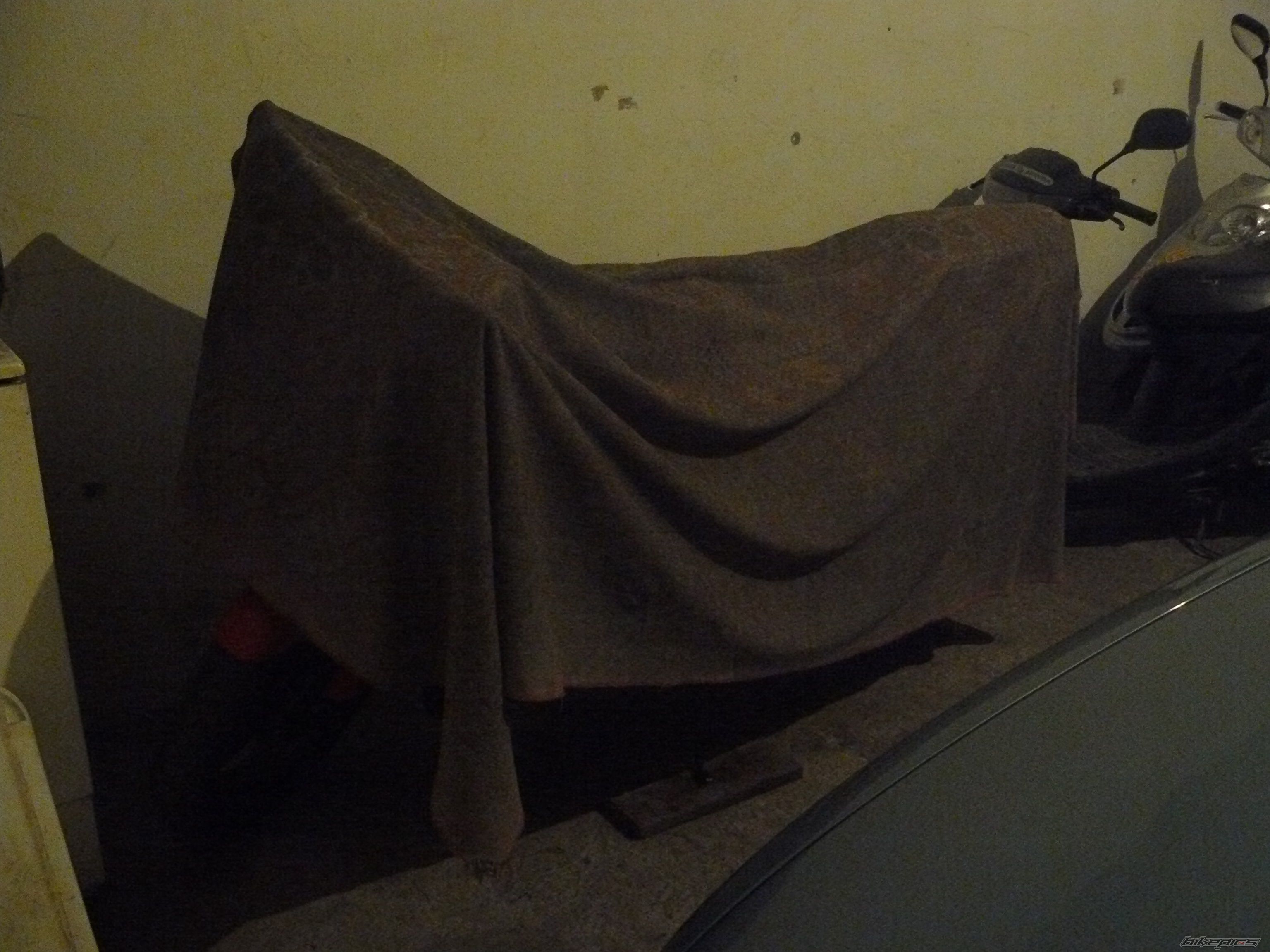 Photo 1616360