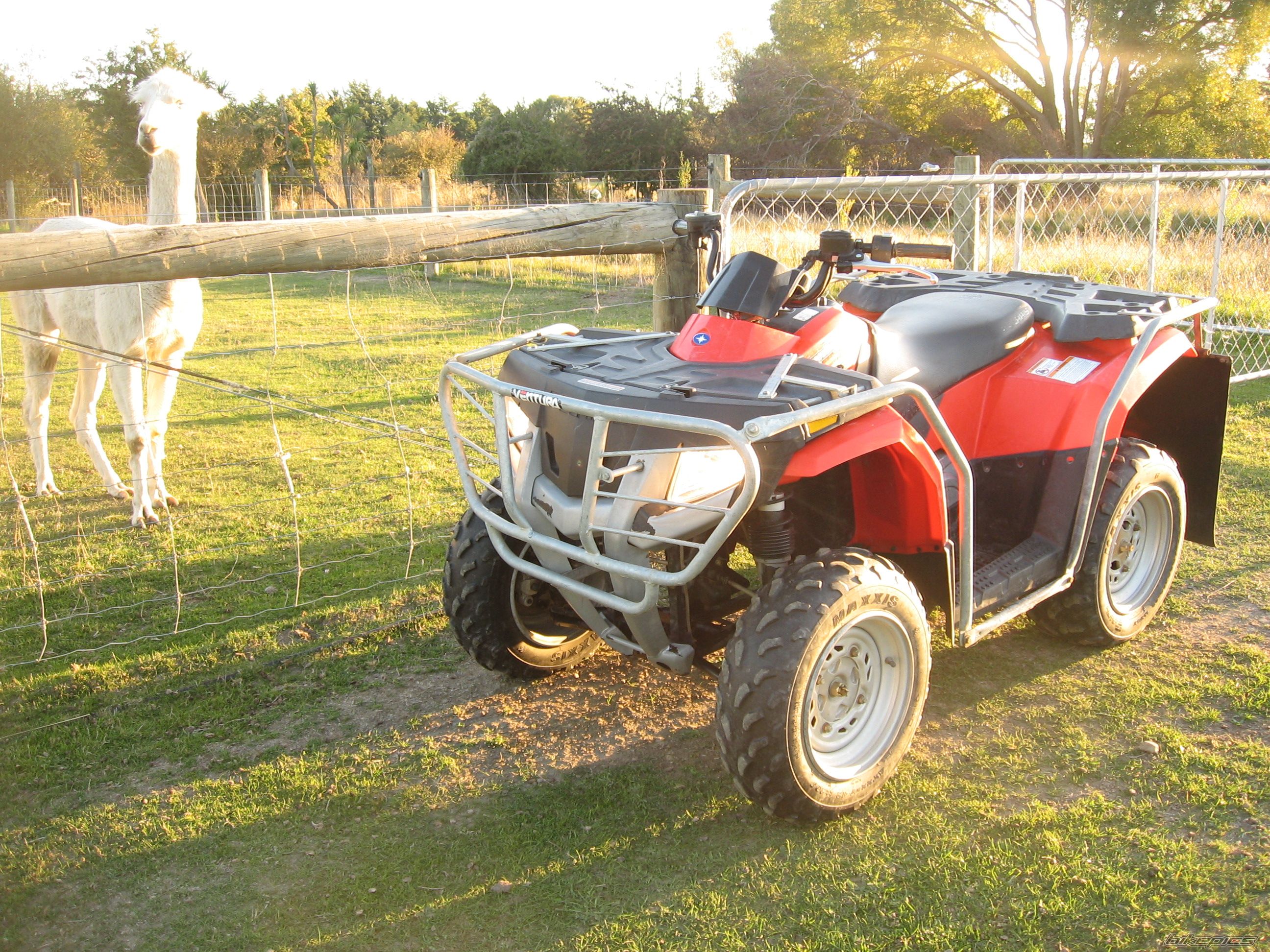 Photo 1616381