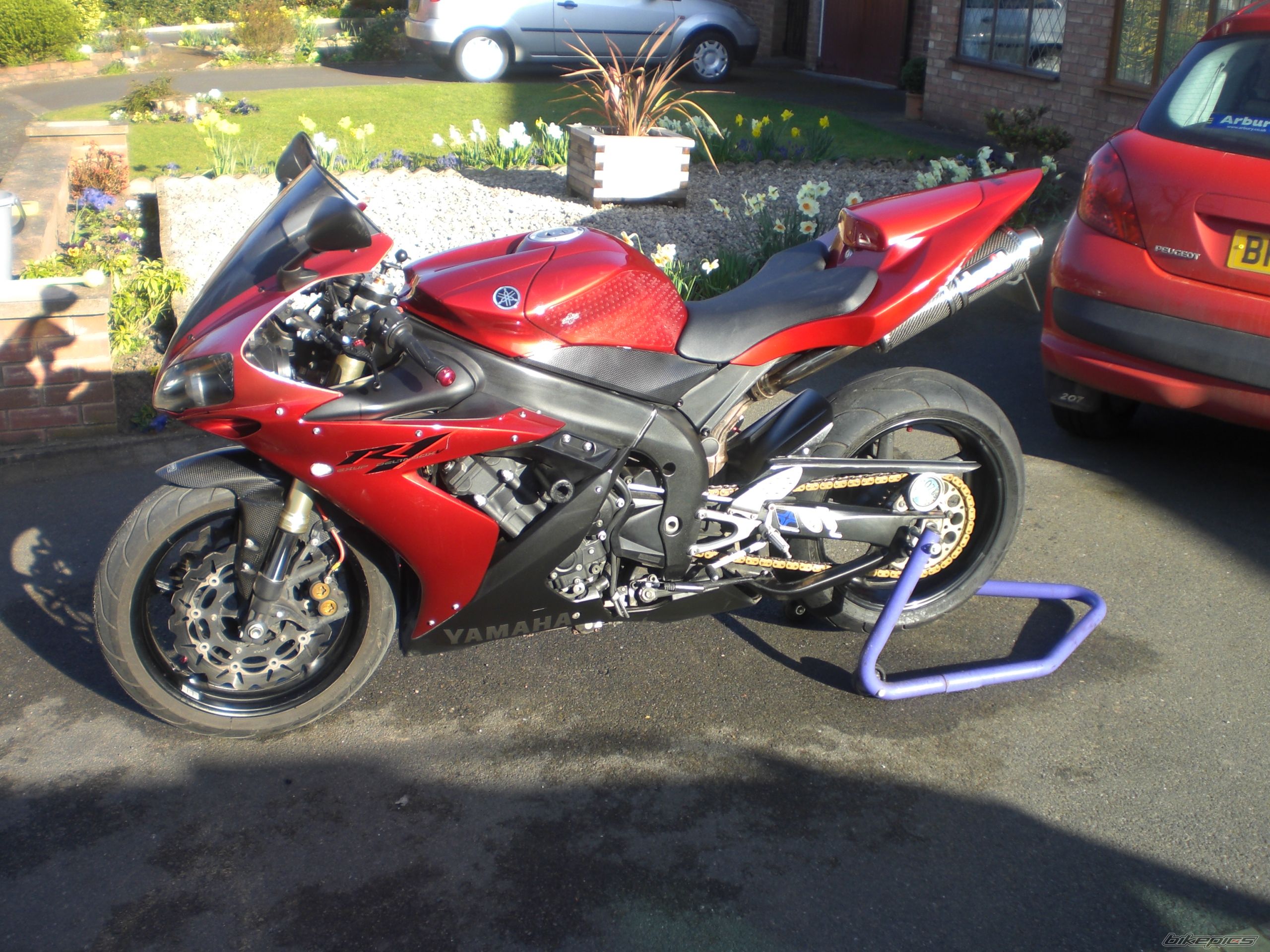 Photo 1616495