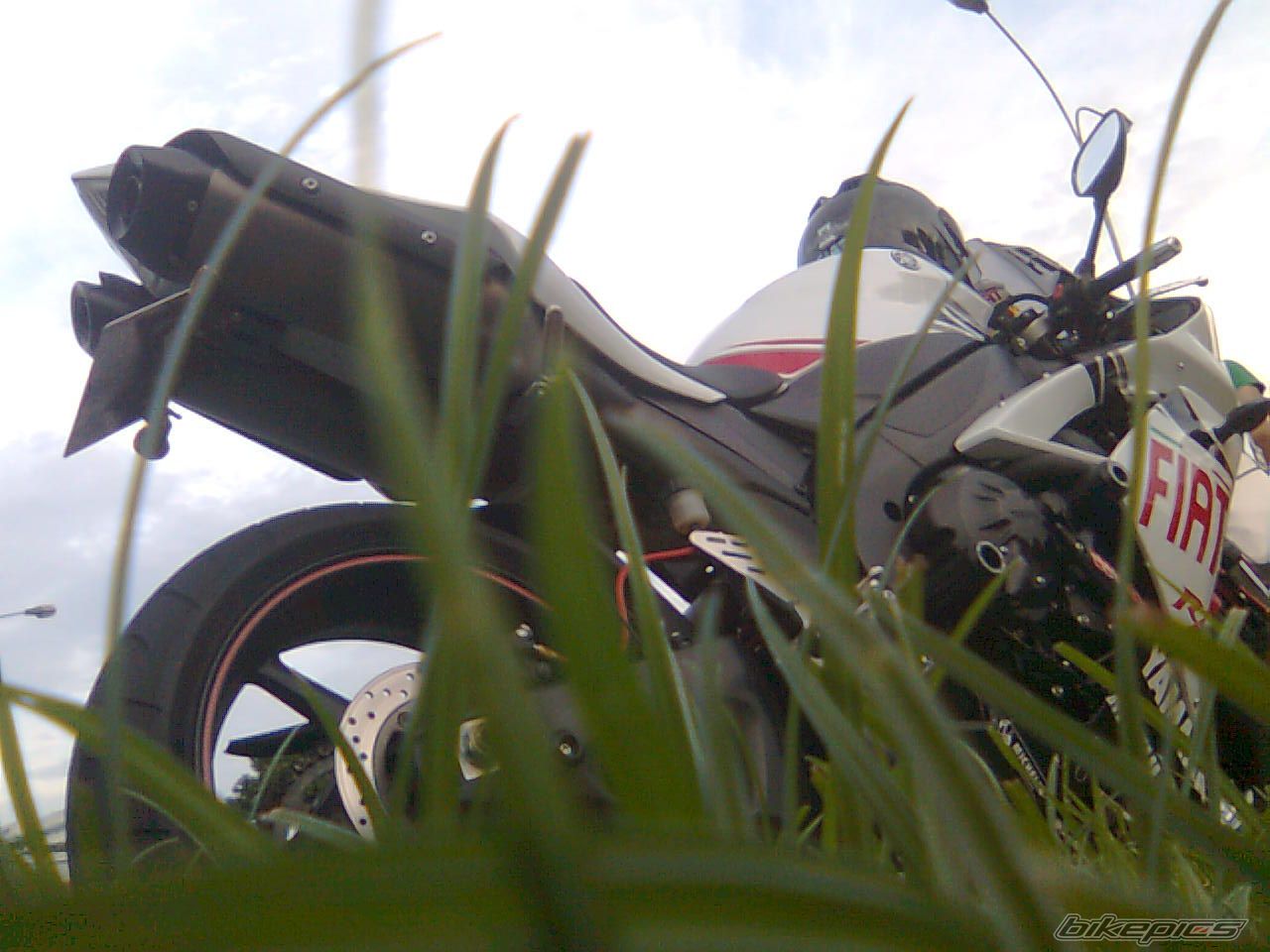 Photo 1616560