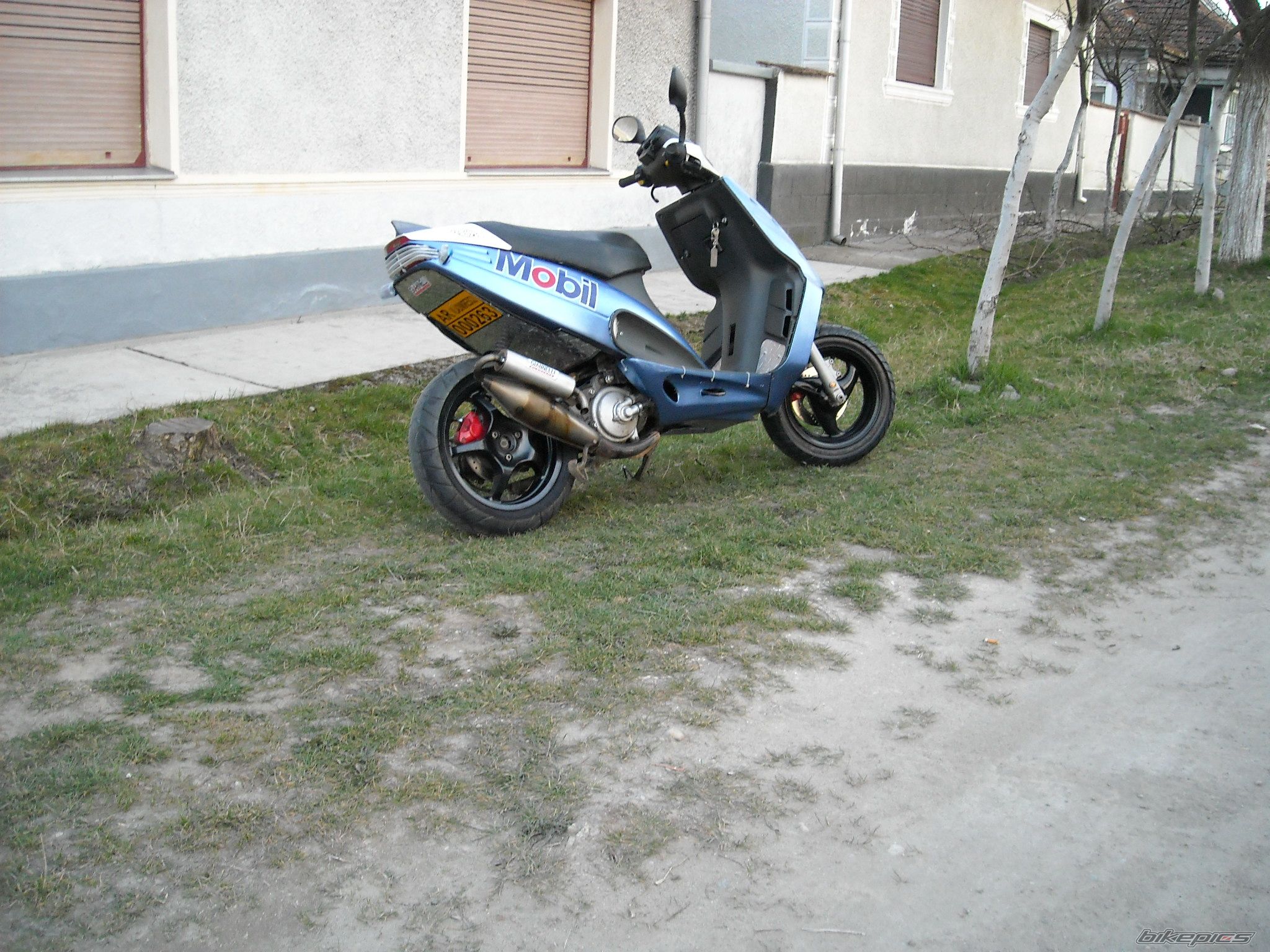 Photo 1616564