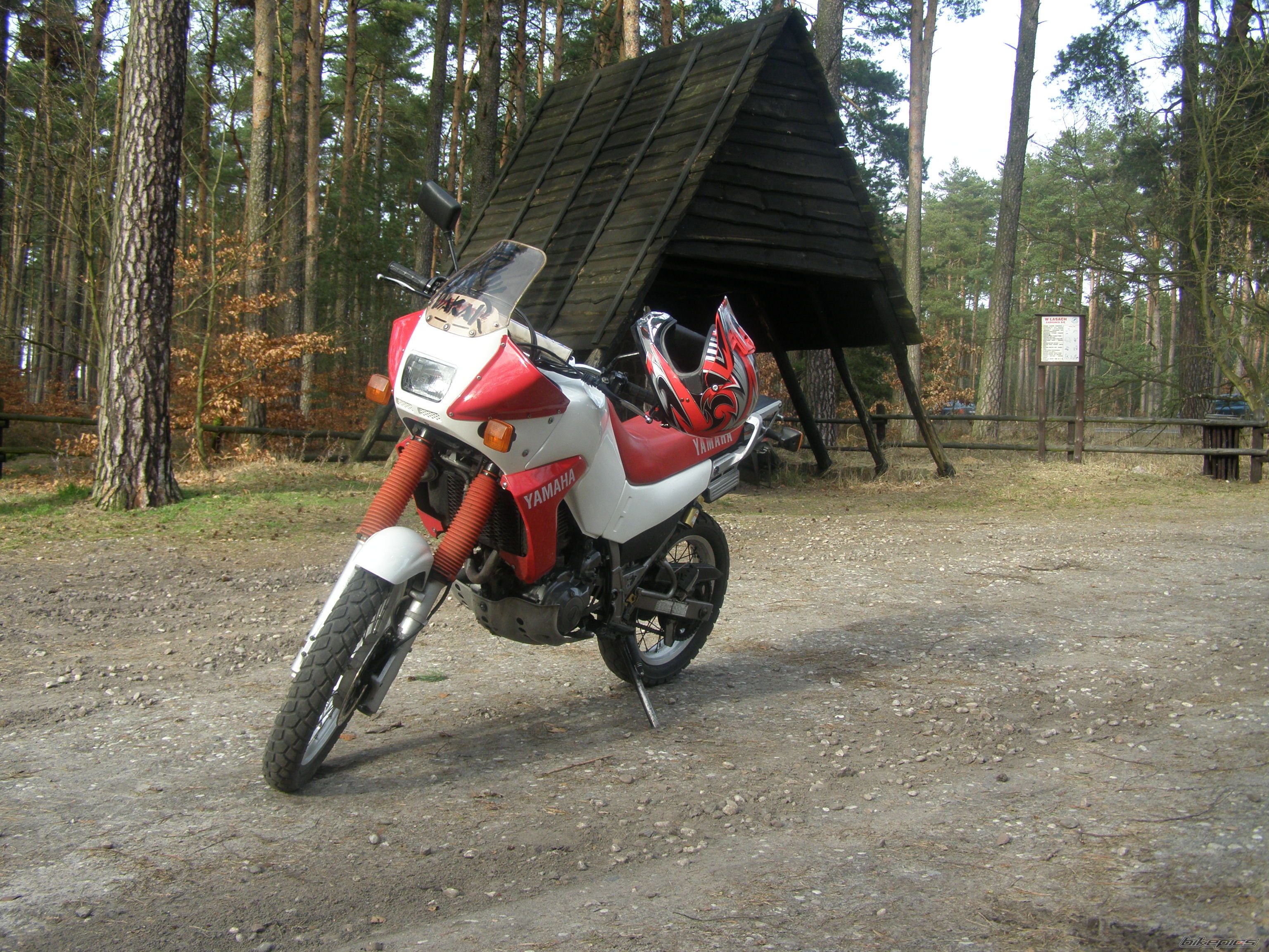 Photo 1616635