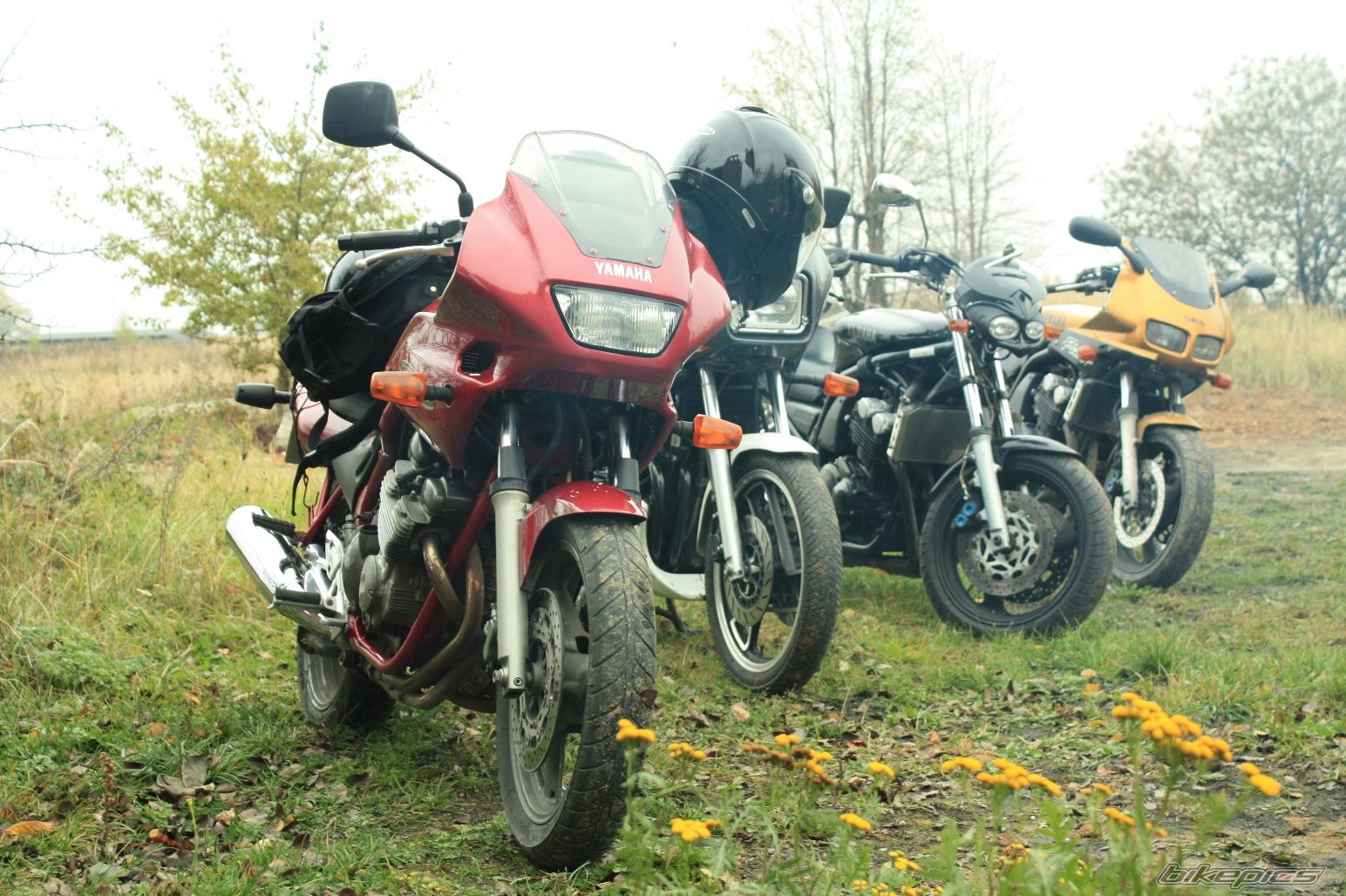 Photo 1616636