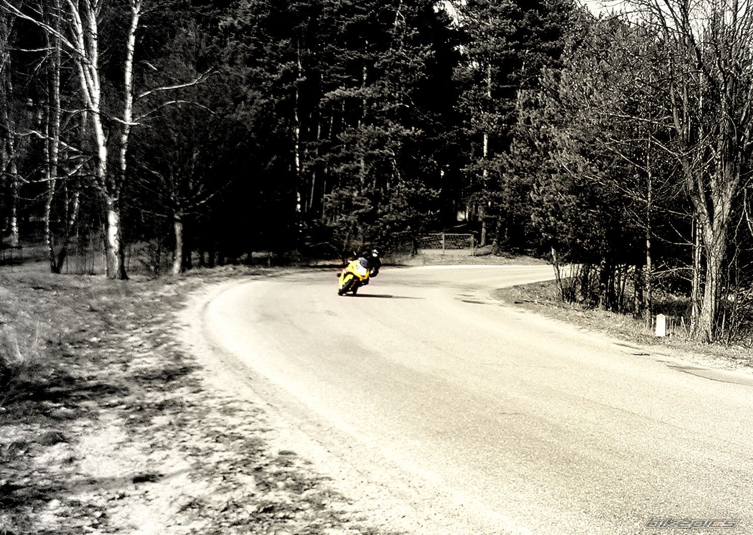 Bike Photo 1616689