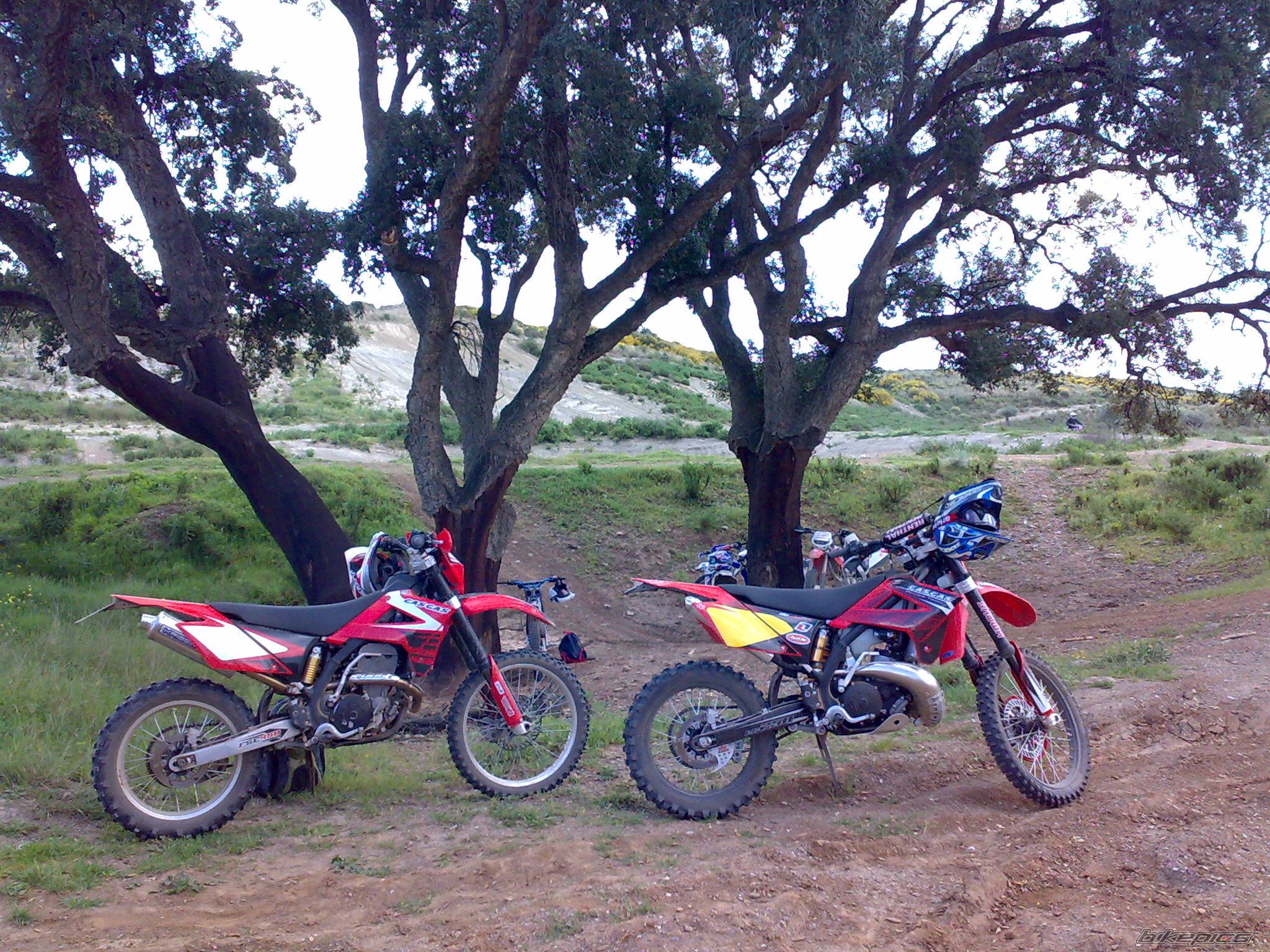 Photo 1616692