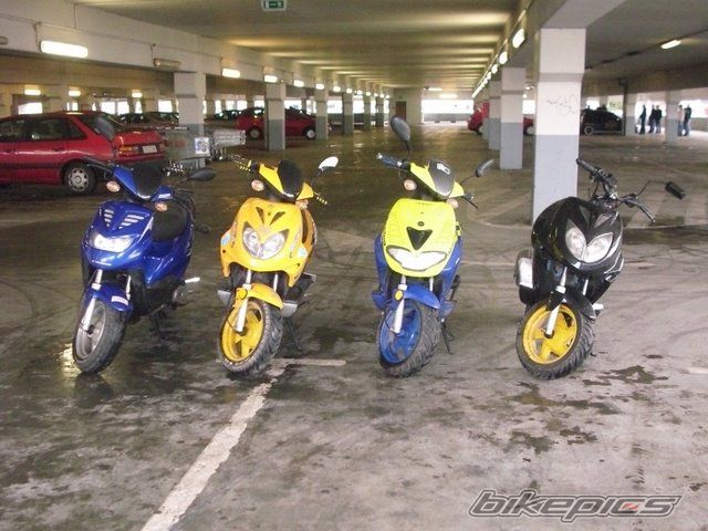 Photo 1616702