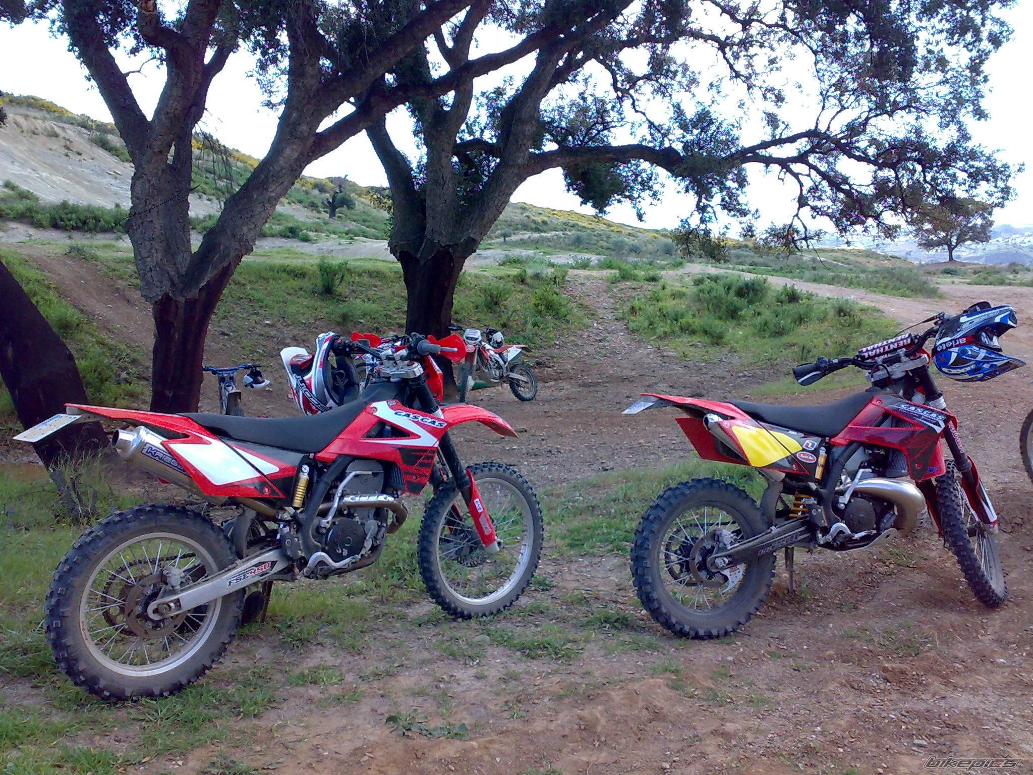 Photo 1616705