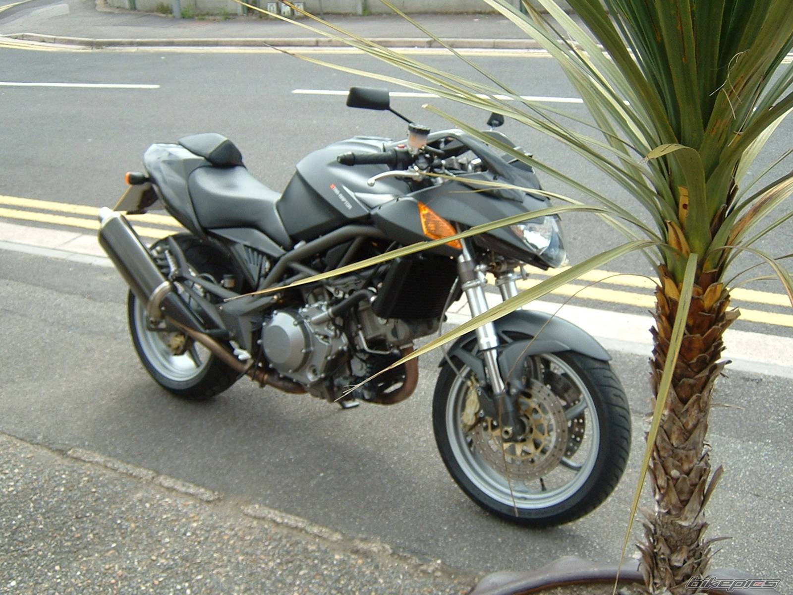 Photo 161671