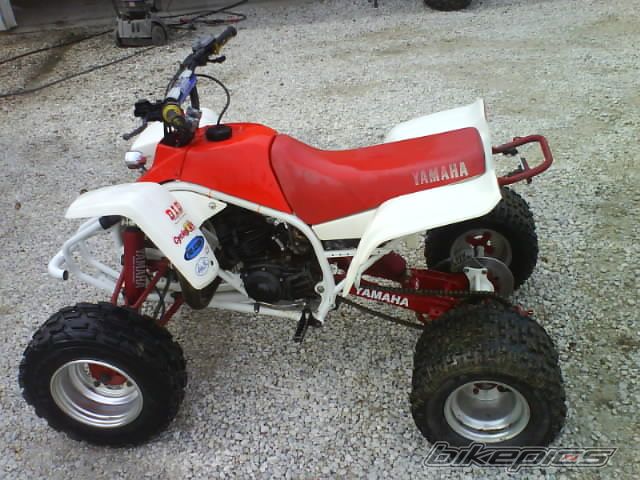Photo 1616737