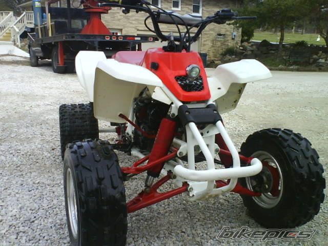 Photo 1616739