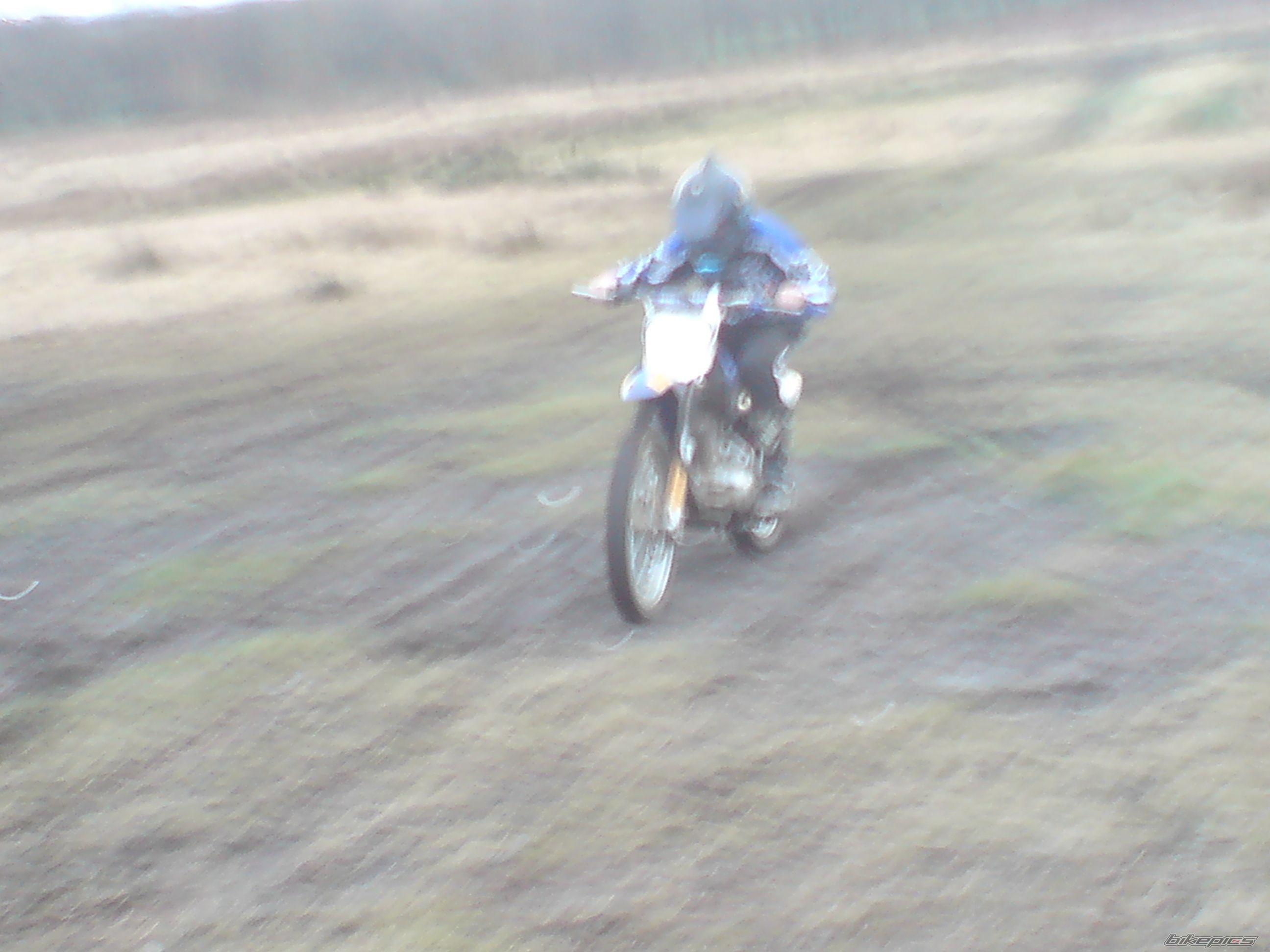 Photo 1616761