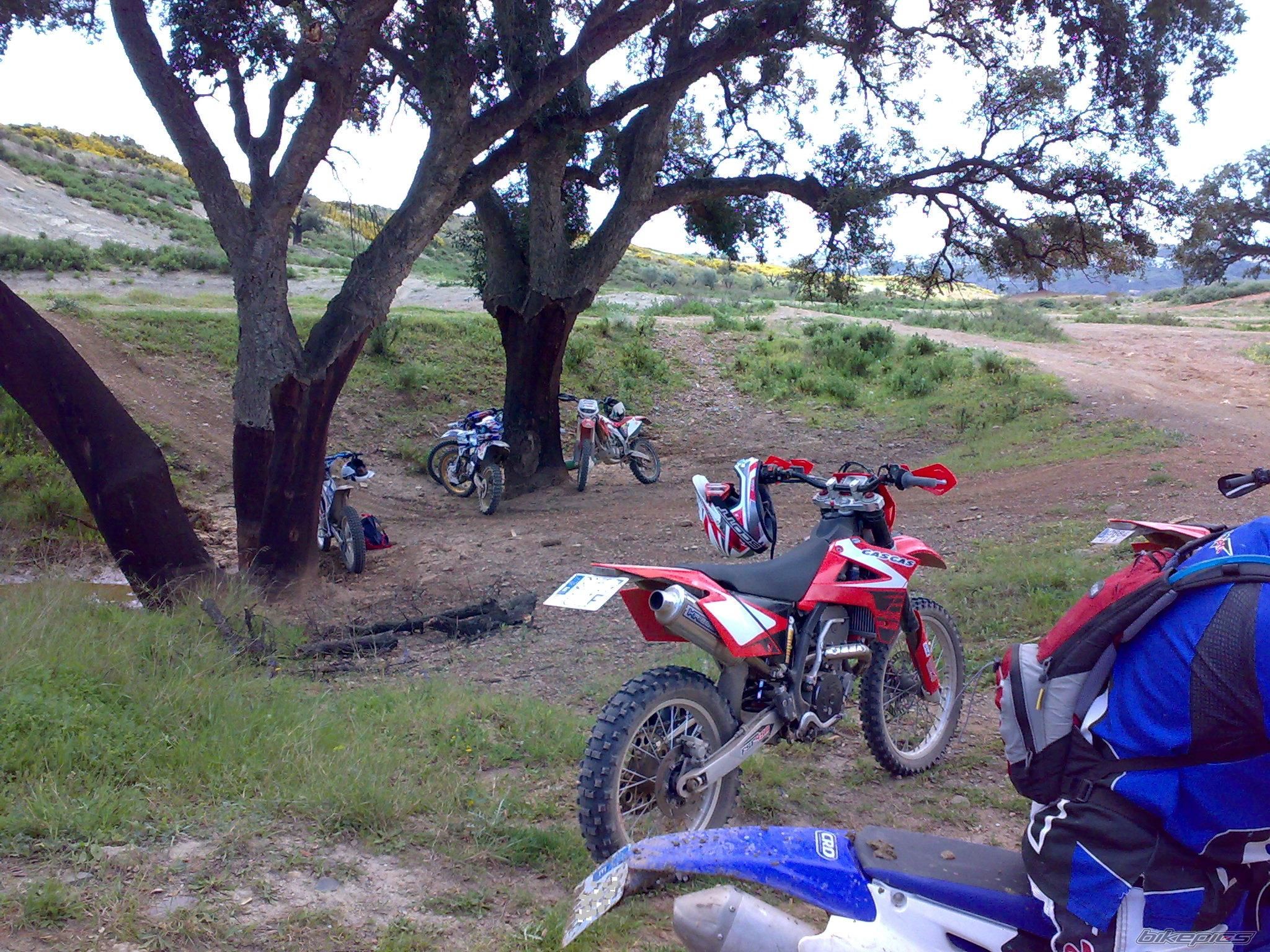 Photo 1616793