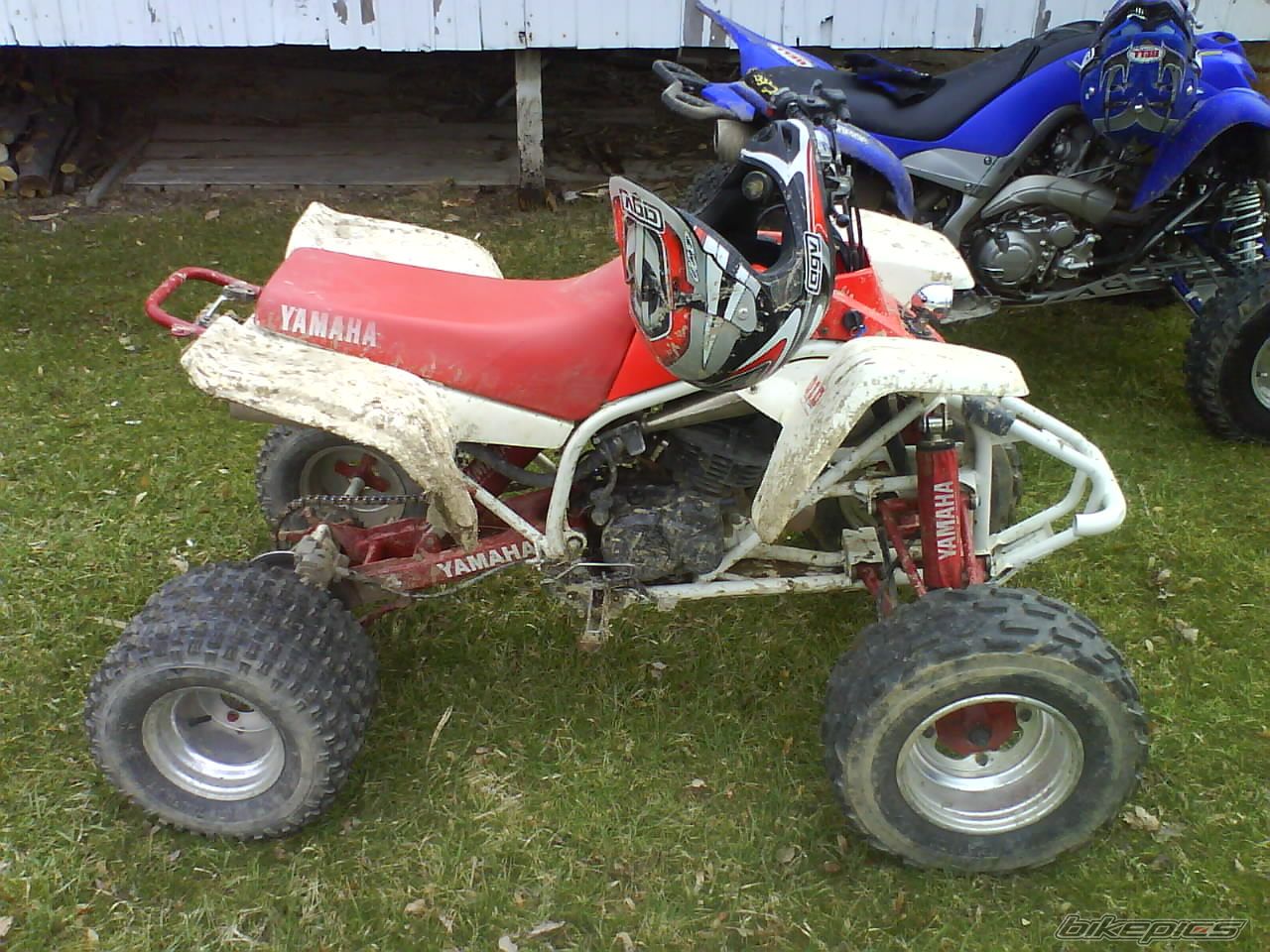 Photo 1616819