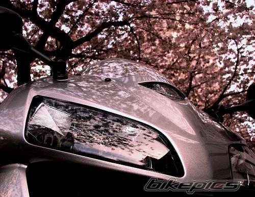 Bike Photo 1616924