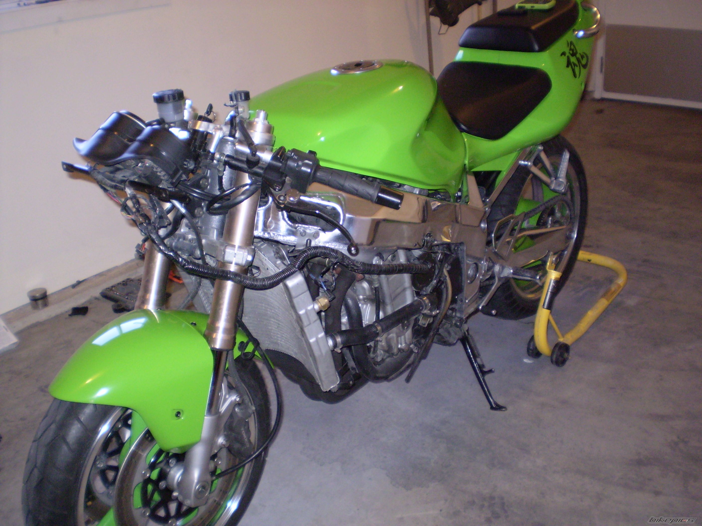 Photo 1616929