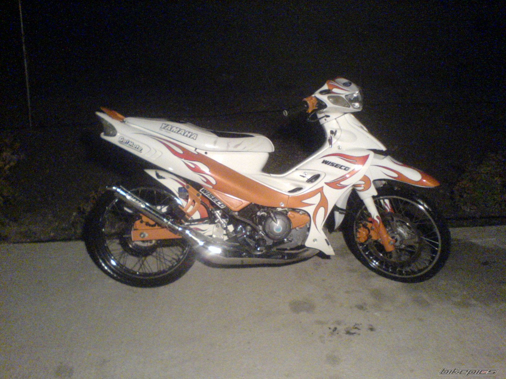 Photo 1617019