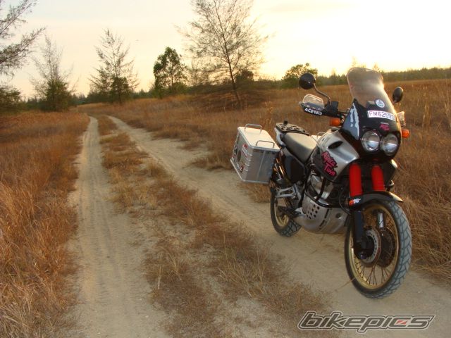 Photo 1617082