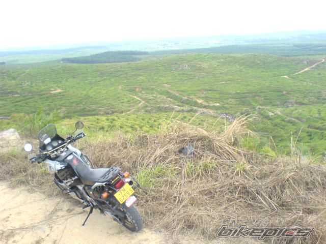 Photo 1617085