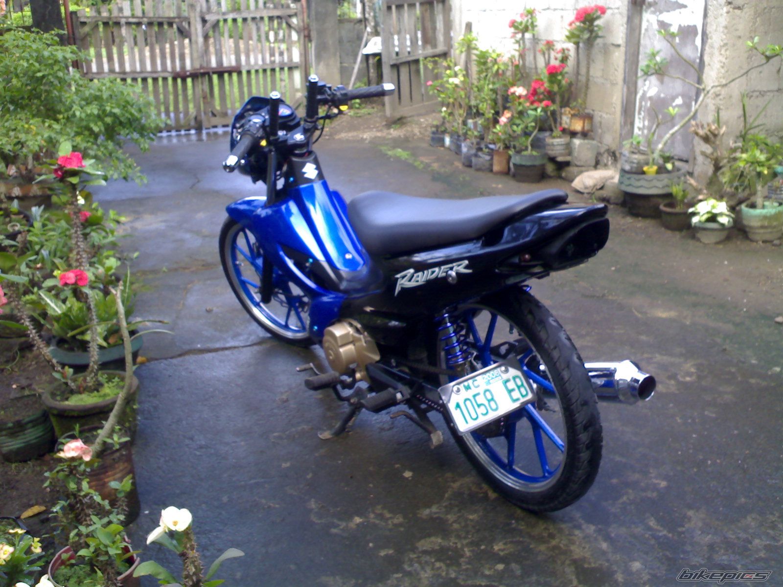 Photo 1617163