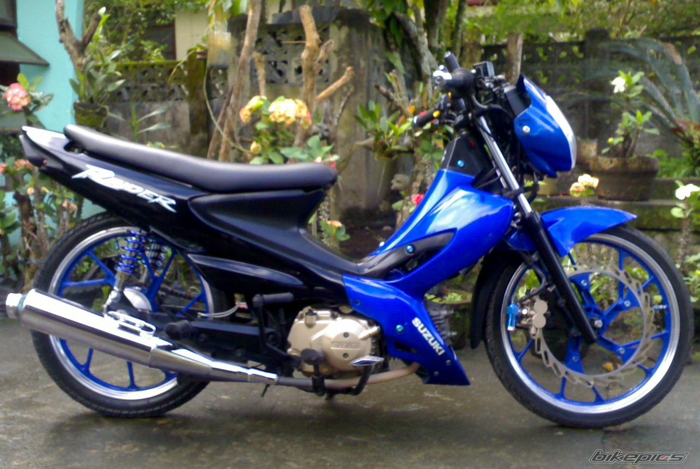 Photo 1617169