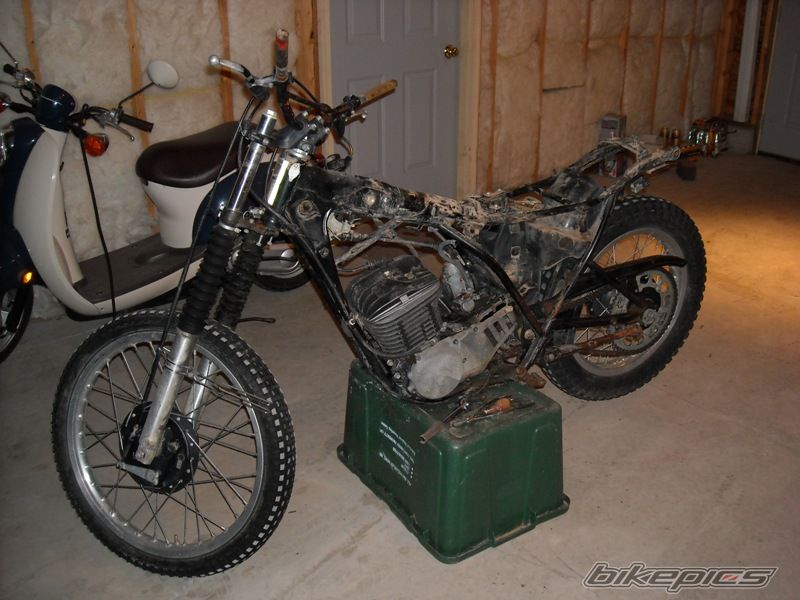 Photo 1617221