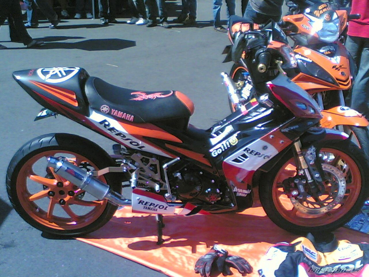 Photo 1617249