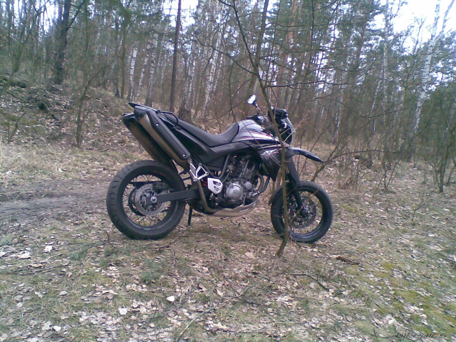 Photo 1617273