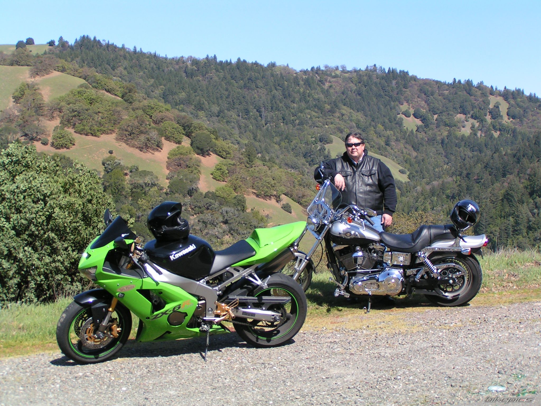 Photo 1617291