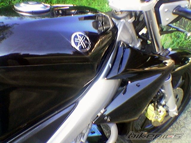 Photo 1617298