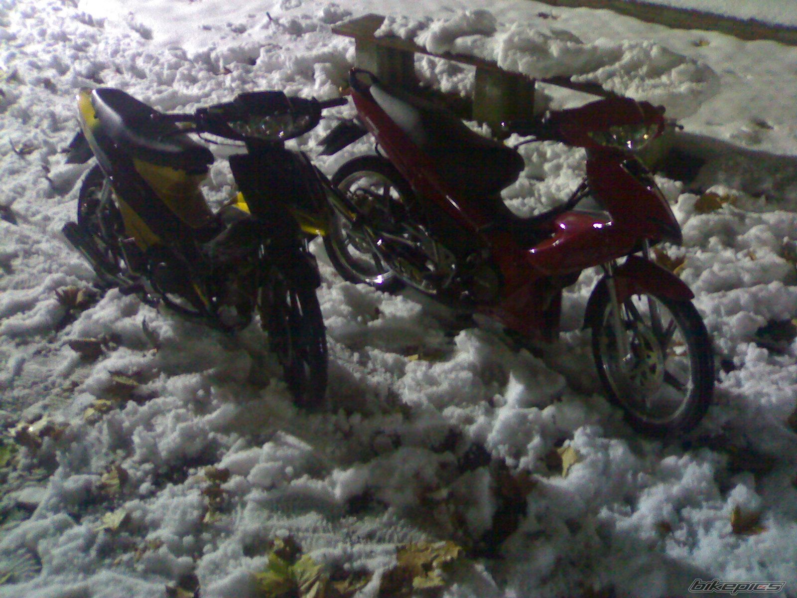 Photo 1617336