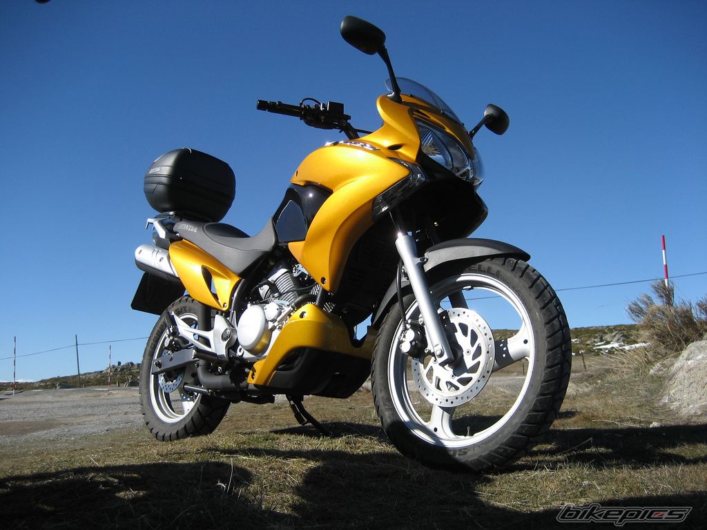 Photo 1617343