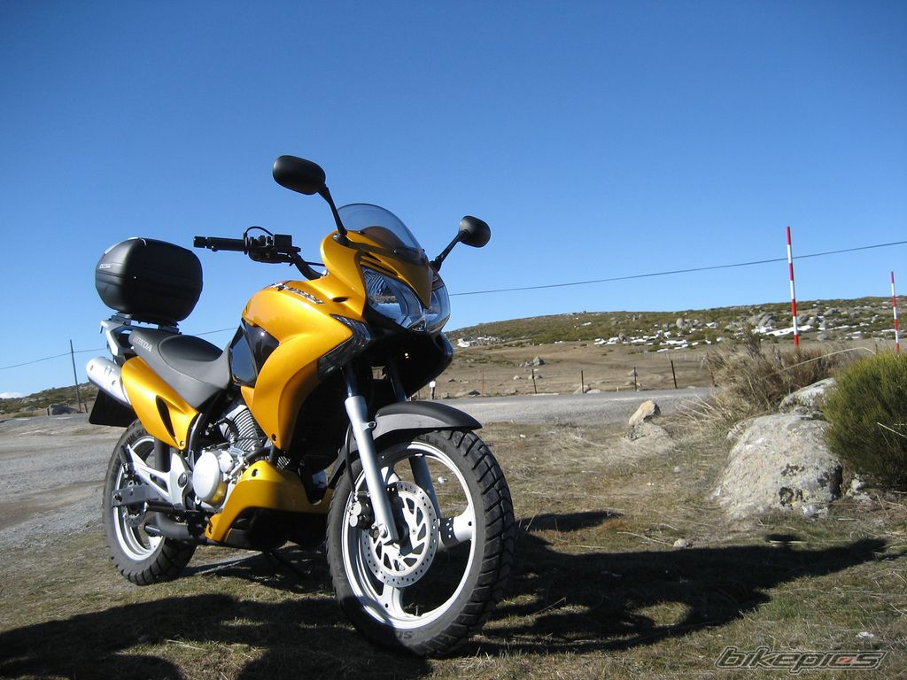 Photo 1617350