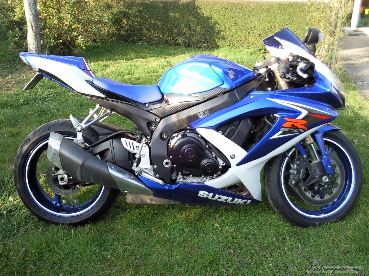 Photo 1617358