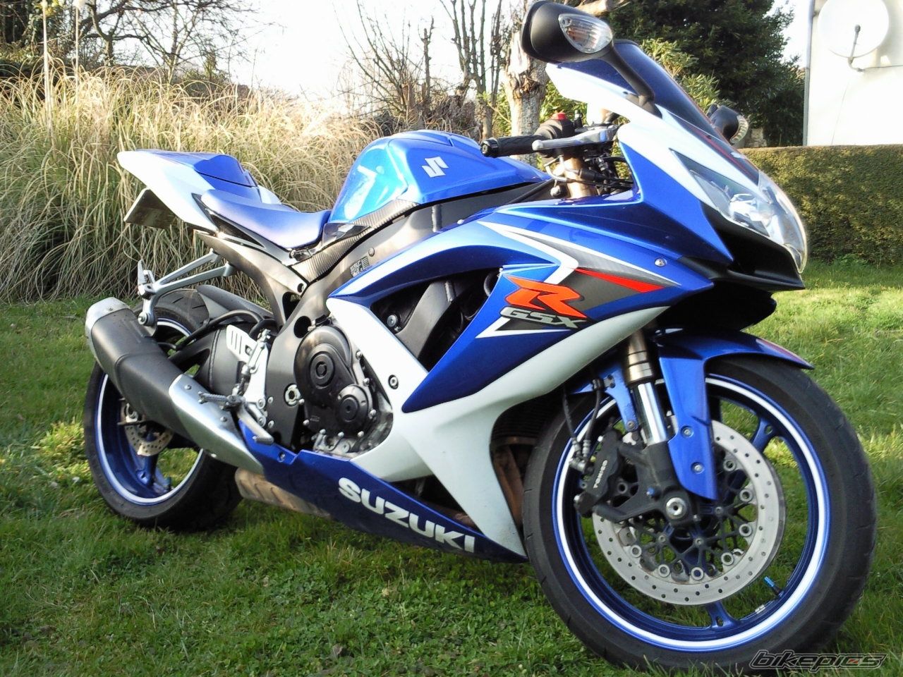 Photo 1617360