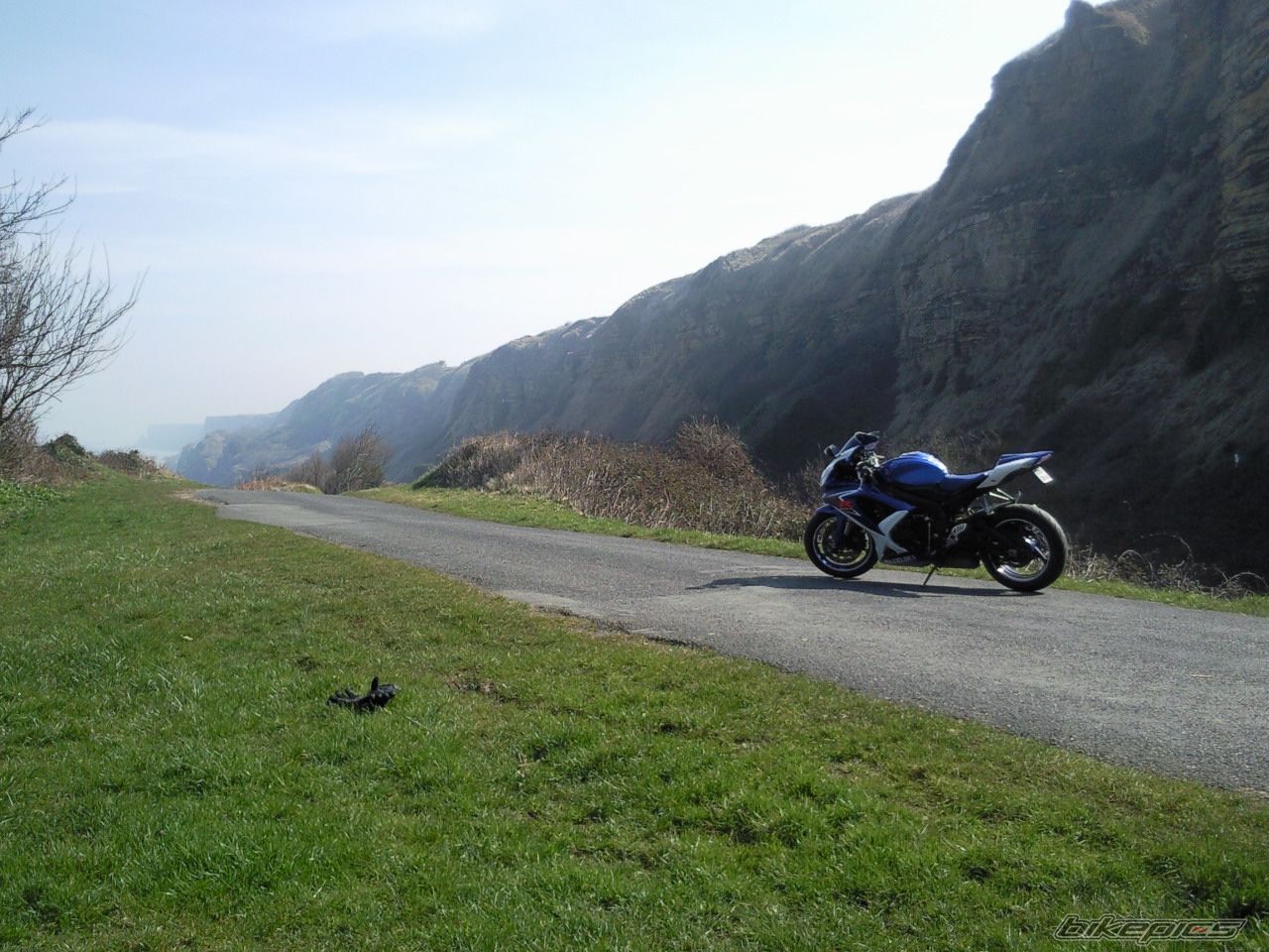 Photo 1617371